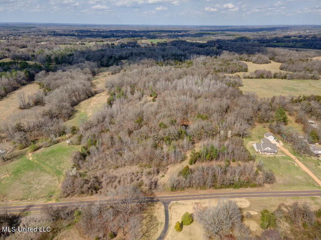 0 Poagville Road Coldwater, MS 38618 - Photo 2 of 5 01