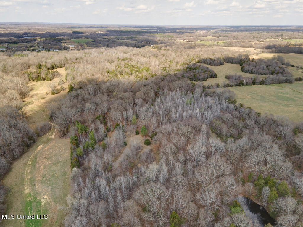 0 Poagville Road Coldwater, MS 38618 - Photo 3 of 5 02