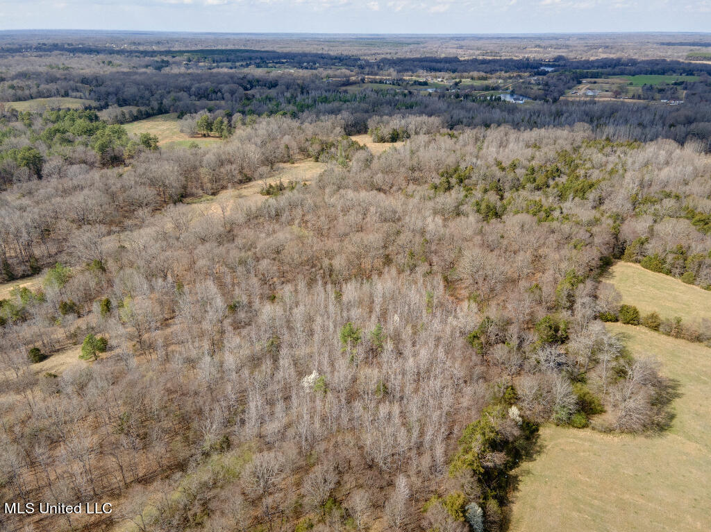 0 Poagville Road Coldwater, MS 38618 - Photo 4 of 5 03