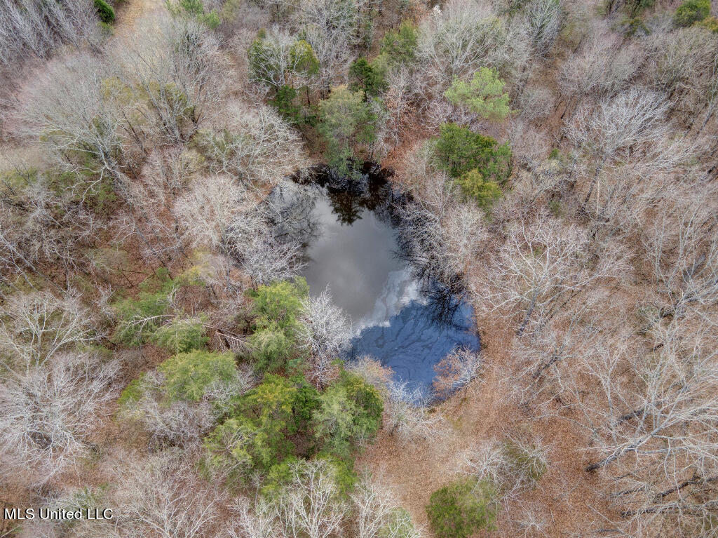 0 Poagville Road Coldwater, MS 38618 - Photo 5 of 5 04
