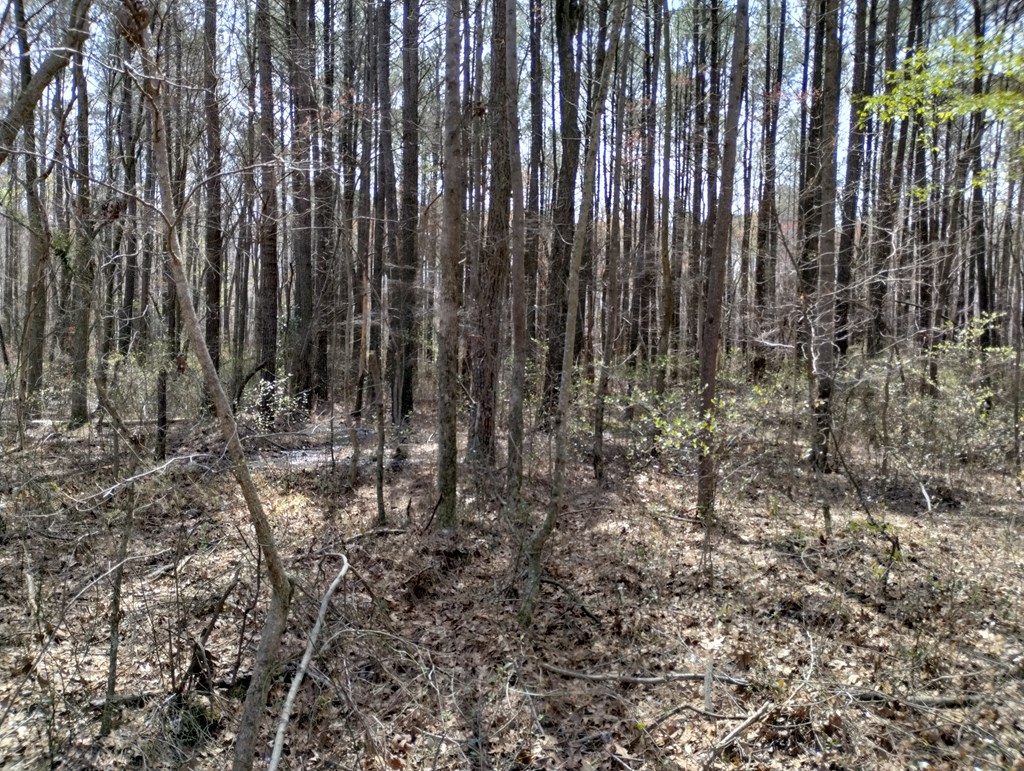 2 Ledford Road Northeast, Unit TRACT 3 Cohutta, GA 30710 - Photo 2 of 5