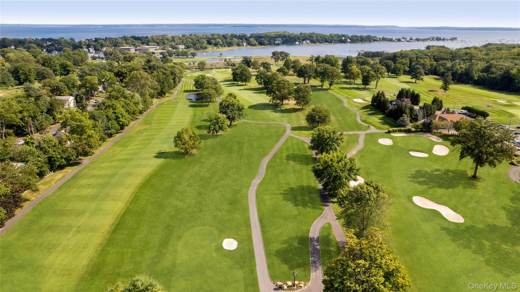 21 Thorne Place Rye, NY 10580 - Photo 4 of 9 a view of a swimming pool