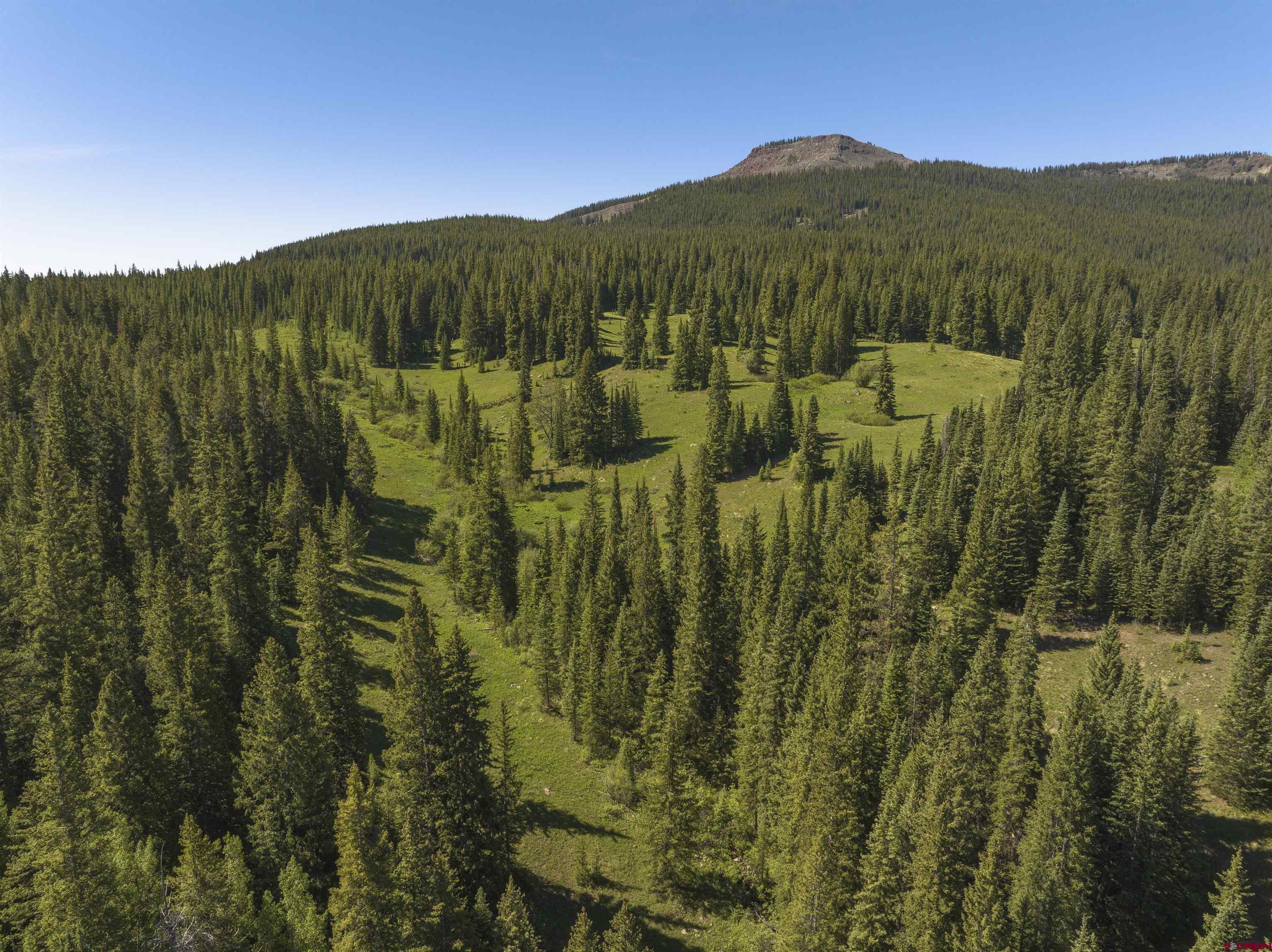 1371 Red Mountain Ranch Road Crested Butte, CO 81224 - Photo 22 of 41
