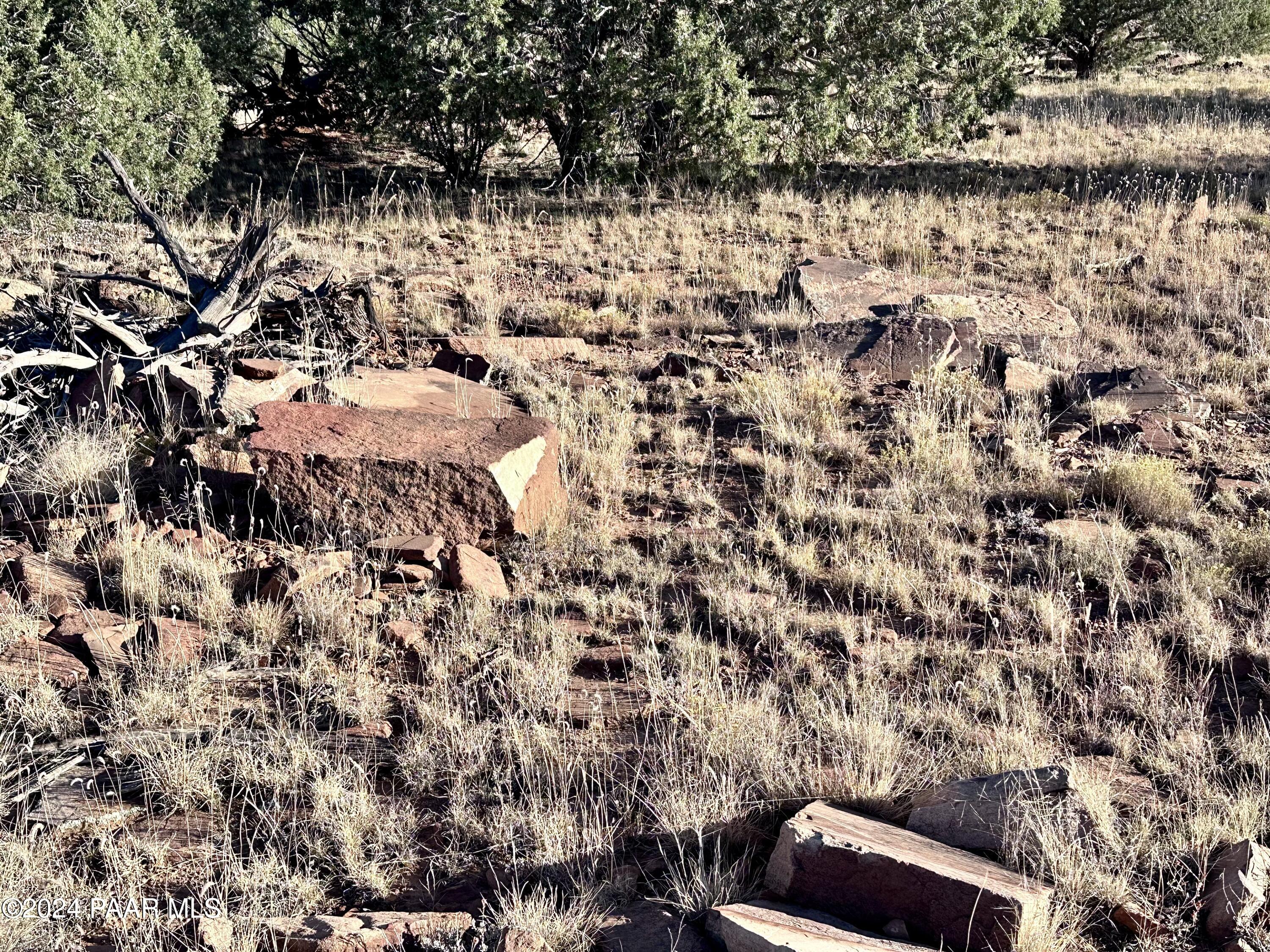 853 Cable Road Williams, AZ 86046 - Photo 13 of 16 IMG_6077