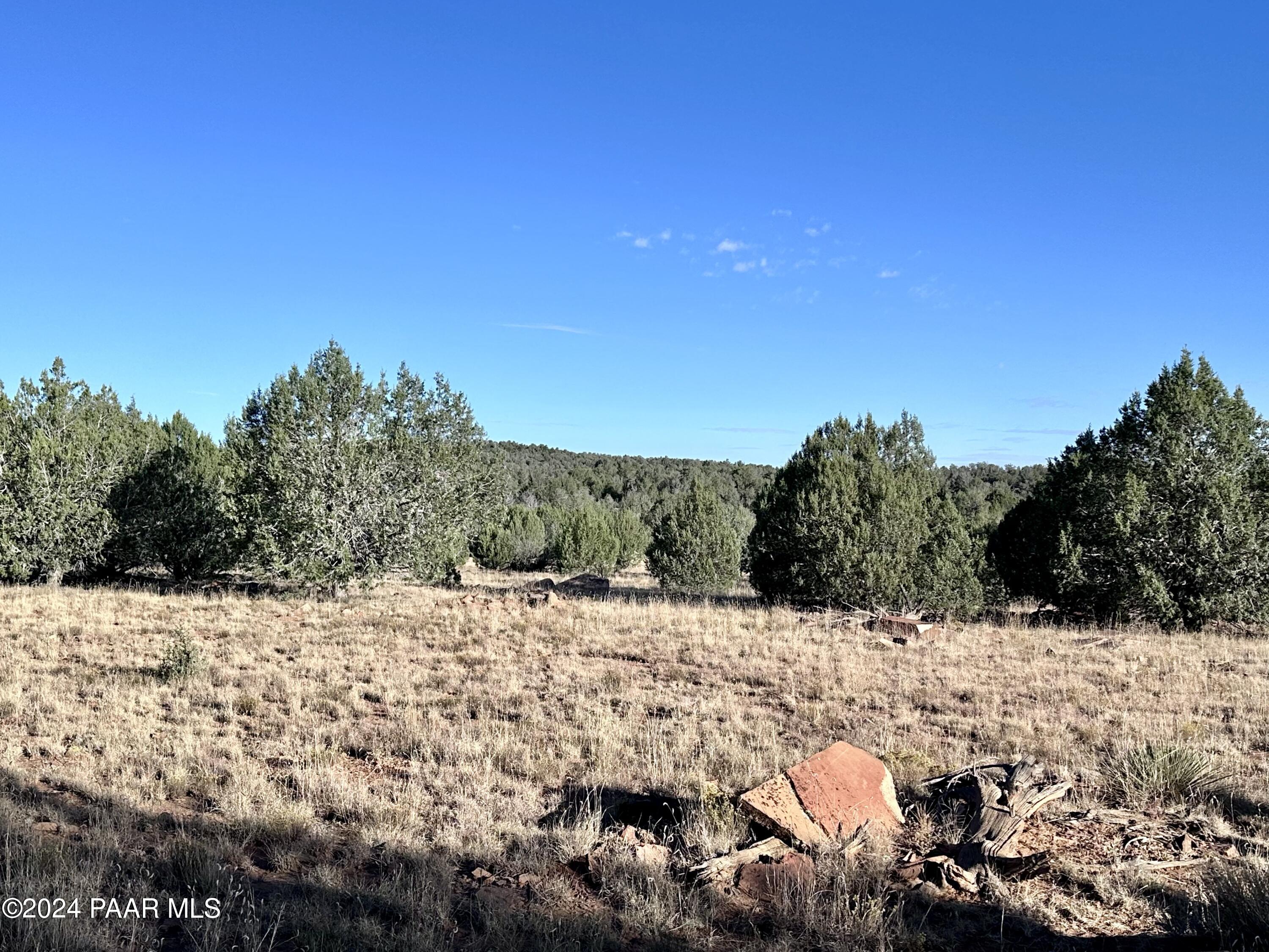 853 Cable Road Williams, AZ 86046 - Photo 8 of 16 IMG_6070