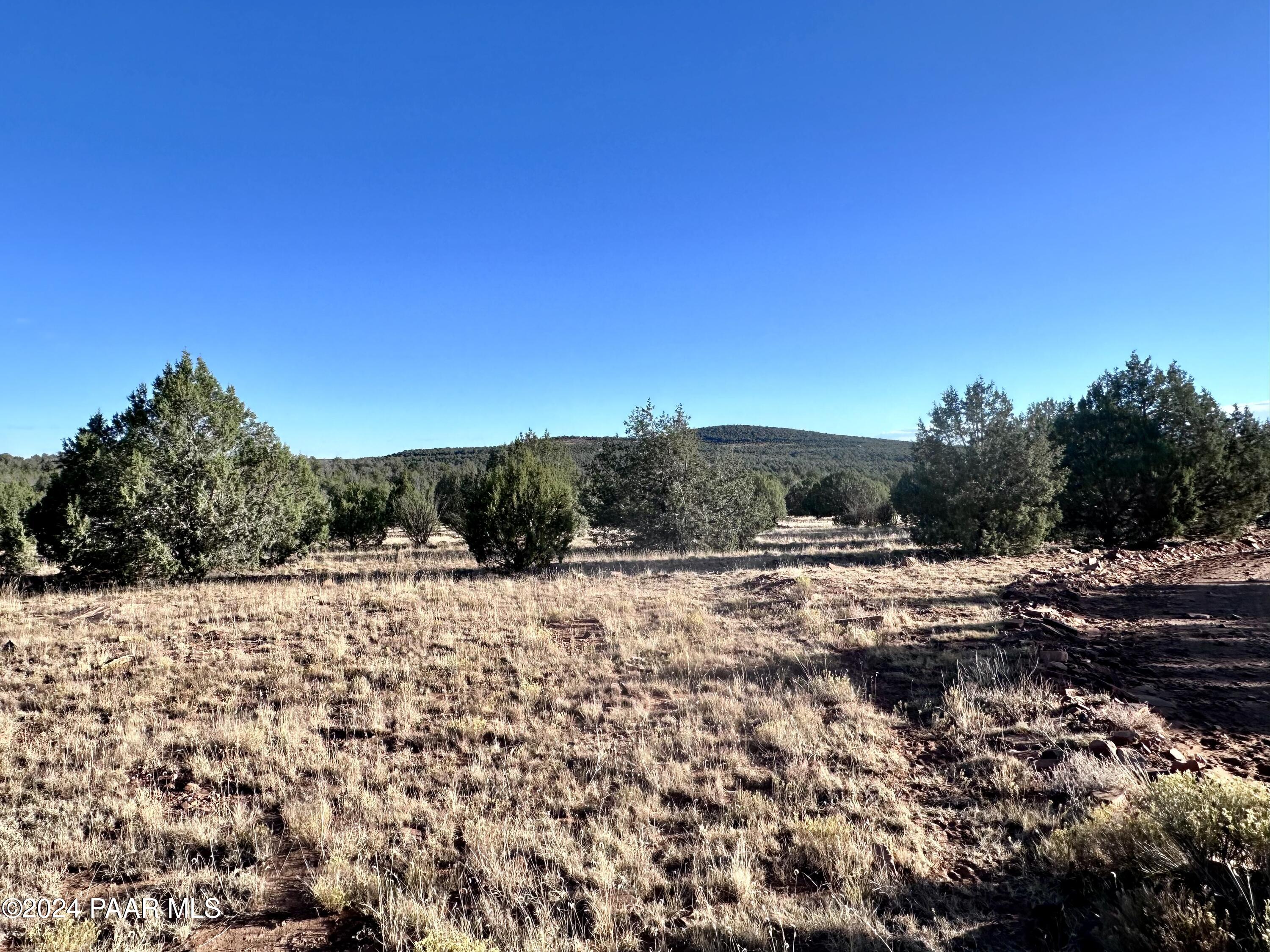 853 Cable Road Williams, AZ 86046 - Photo 10 of 16 IMG_6074