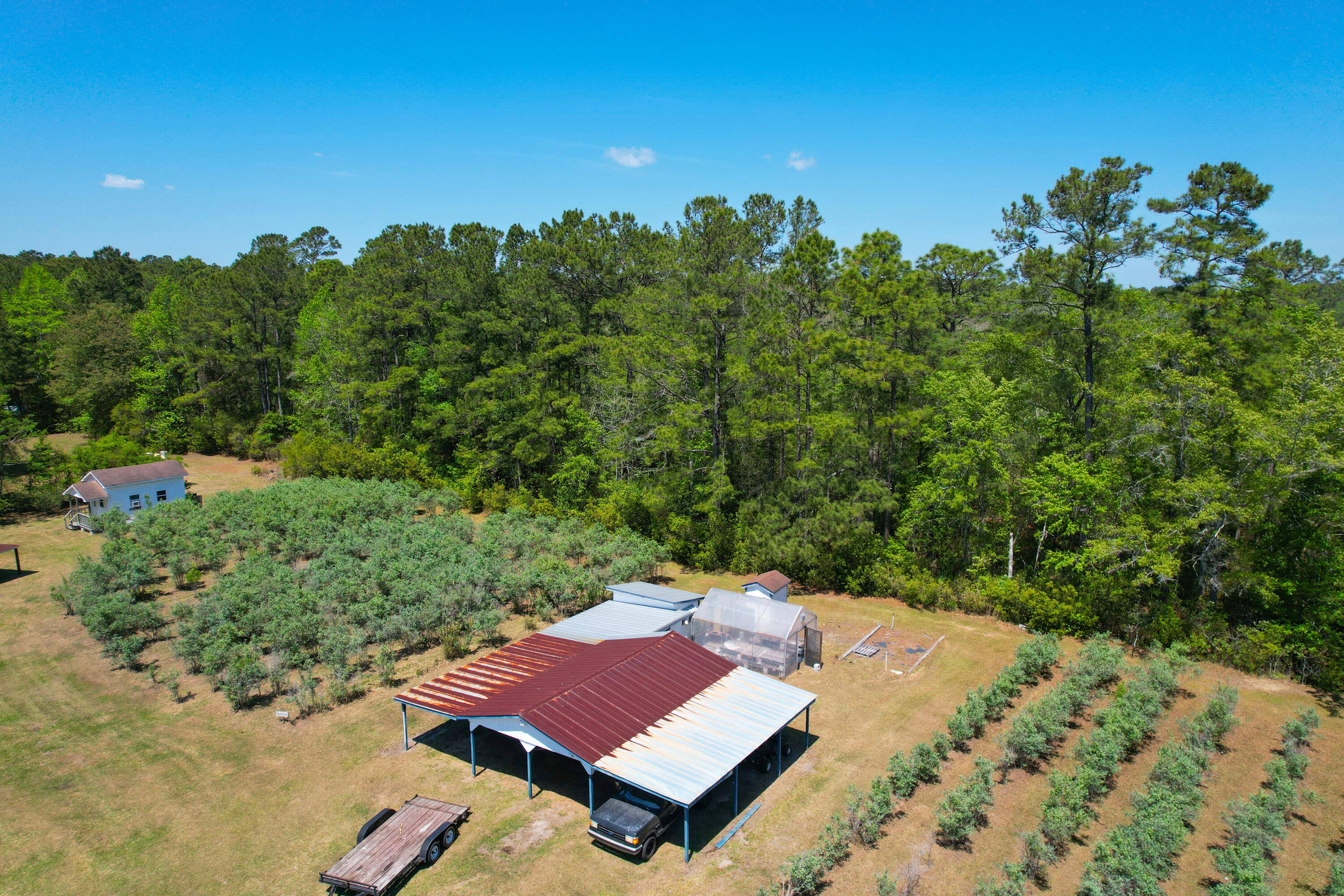 9760 State Rd S-10-1336 McClellanville, SC 29458 - Photo 12 of 98 PS-Giant-GH