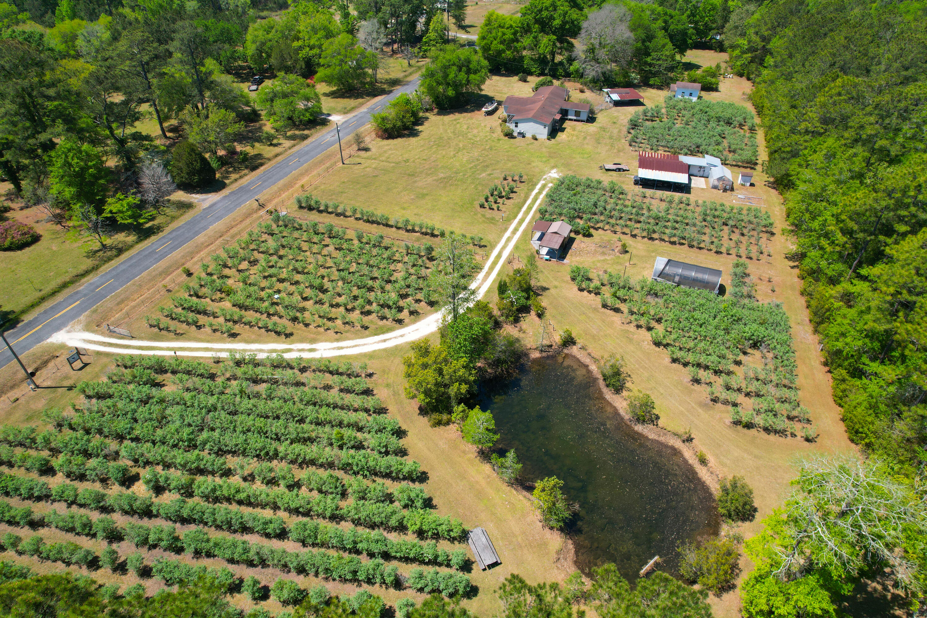 9760 State Rd S-10-1336 McClellanville, SC 29458 - Photo 13 of 98 Agriculture parcel