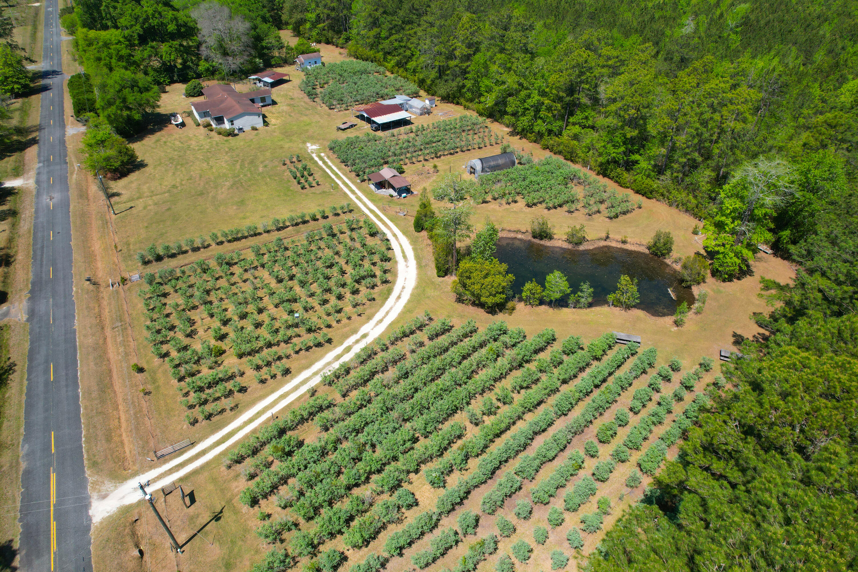 9760 State Rd S-10-1336 McClellanville, SC 29458 - Photo 14 of 98 Agriculture parcel2