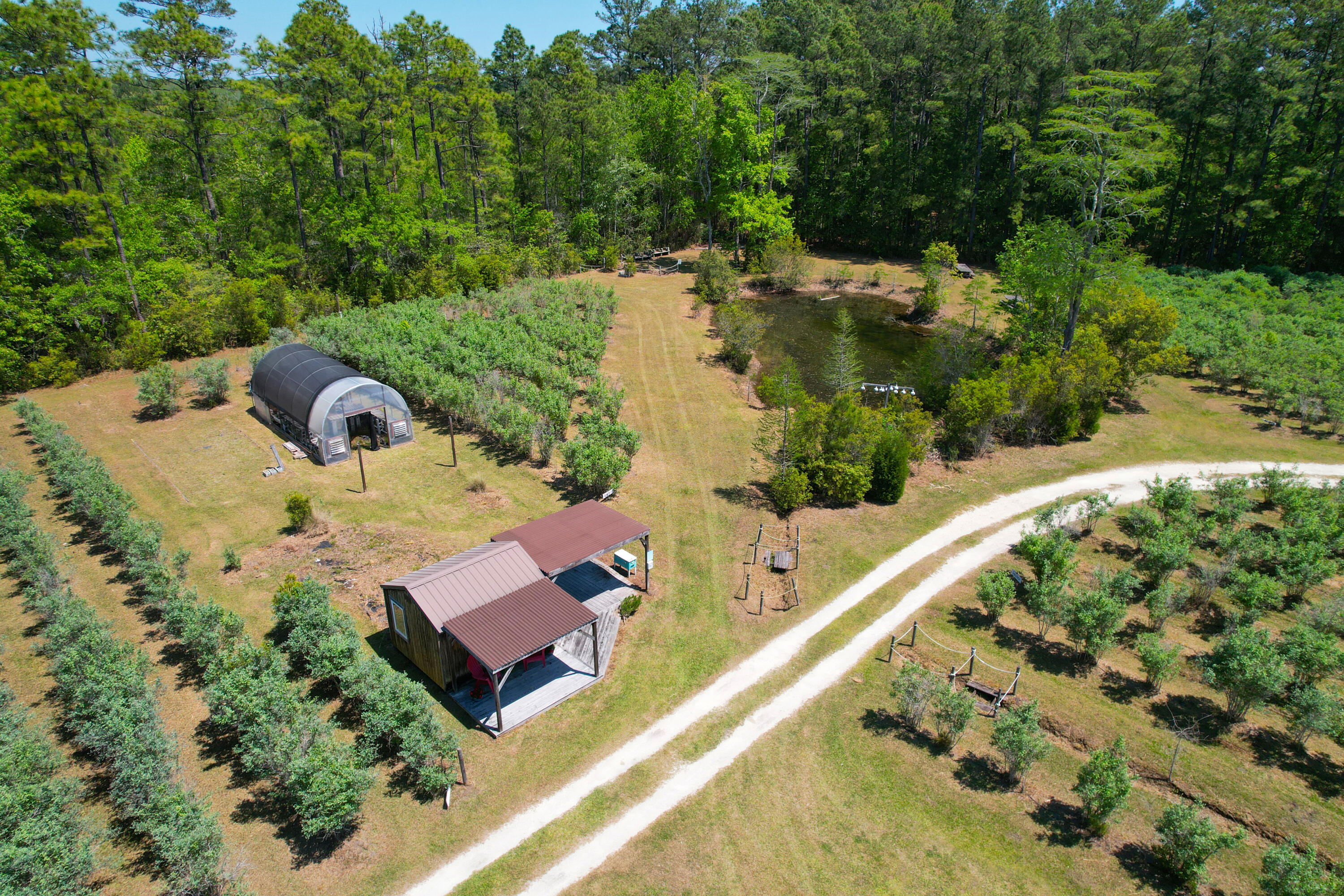 9760 State Rd S-10-1336 McClellanville, SC 29458 - Photo 16 of 98 SF-GH-Pond2