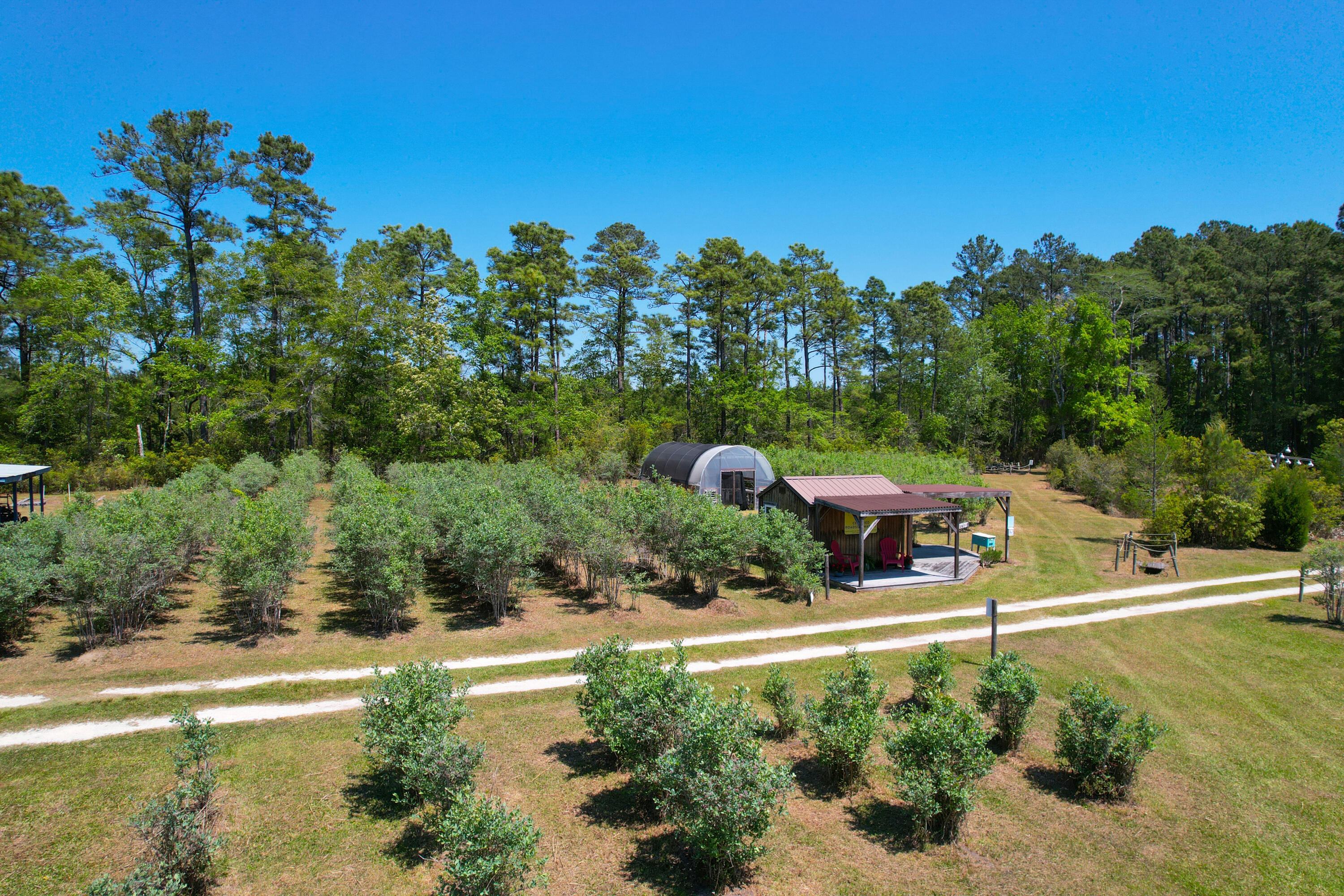 9760 State Rd S-10-1336 McClellanville, SC 29458 - Photo 17 of 98 Storefront