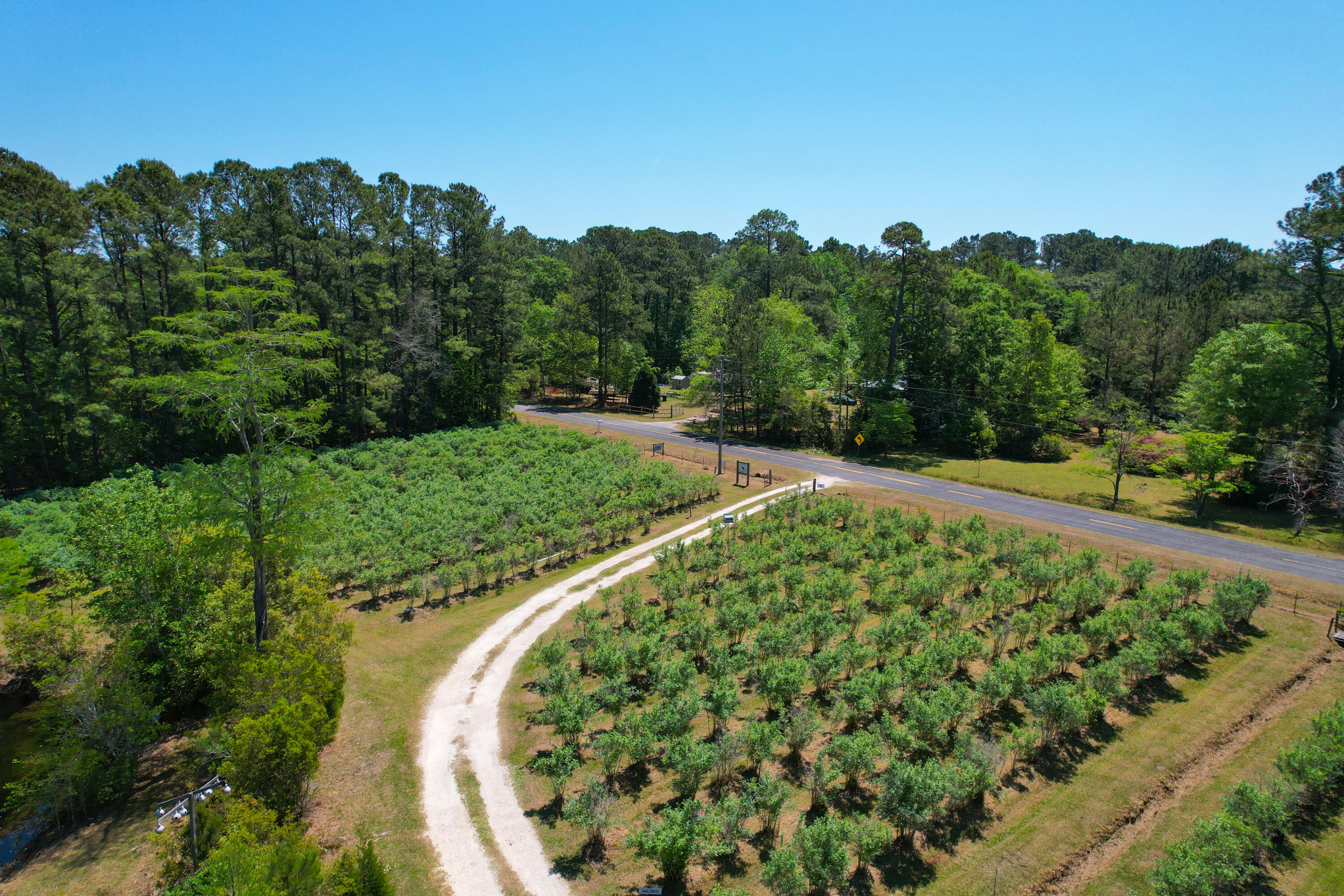 9760 State Rd S-10-1336 McClellanville, SC 29458 - Photo 19 of 98 Small-Big patch