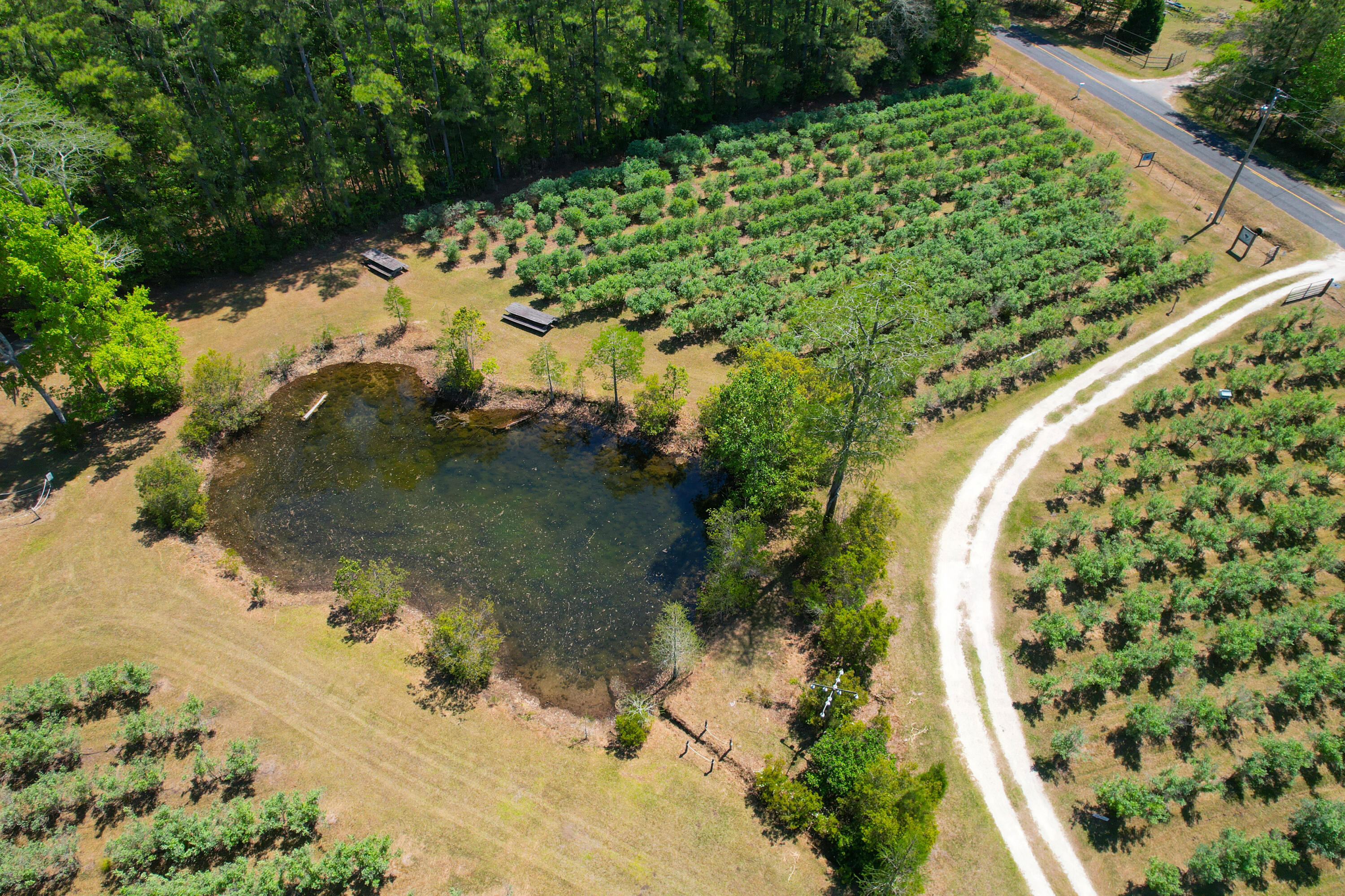 9760 State Rd S-10-1336 McClellanville, SC 29458 - Photo 20 of 98 Pond3