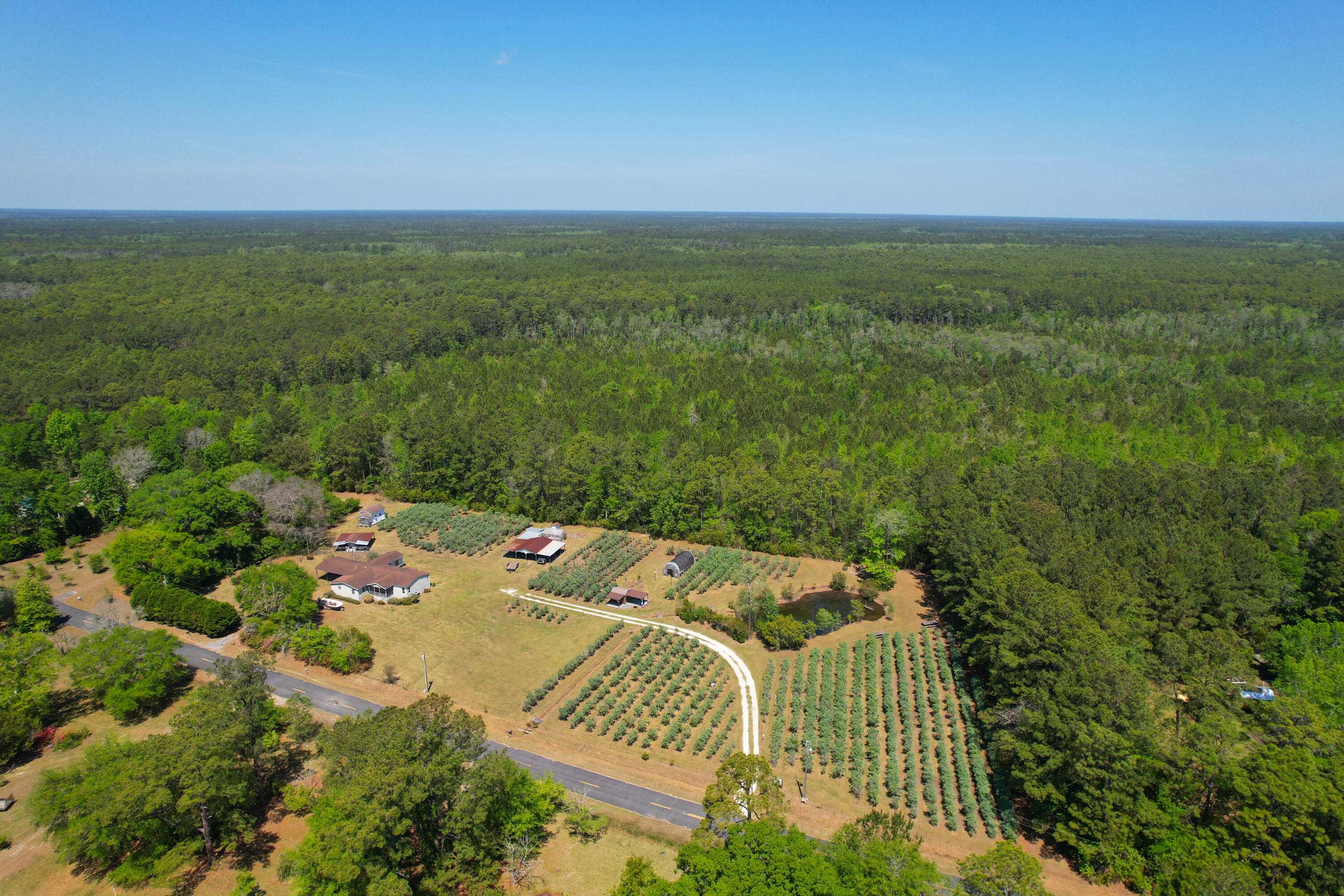 9760 State Rd S-10-1336 McClellanville, SC 29458 - Photo 2 of 98 Entire property5
