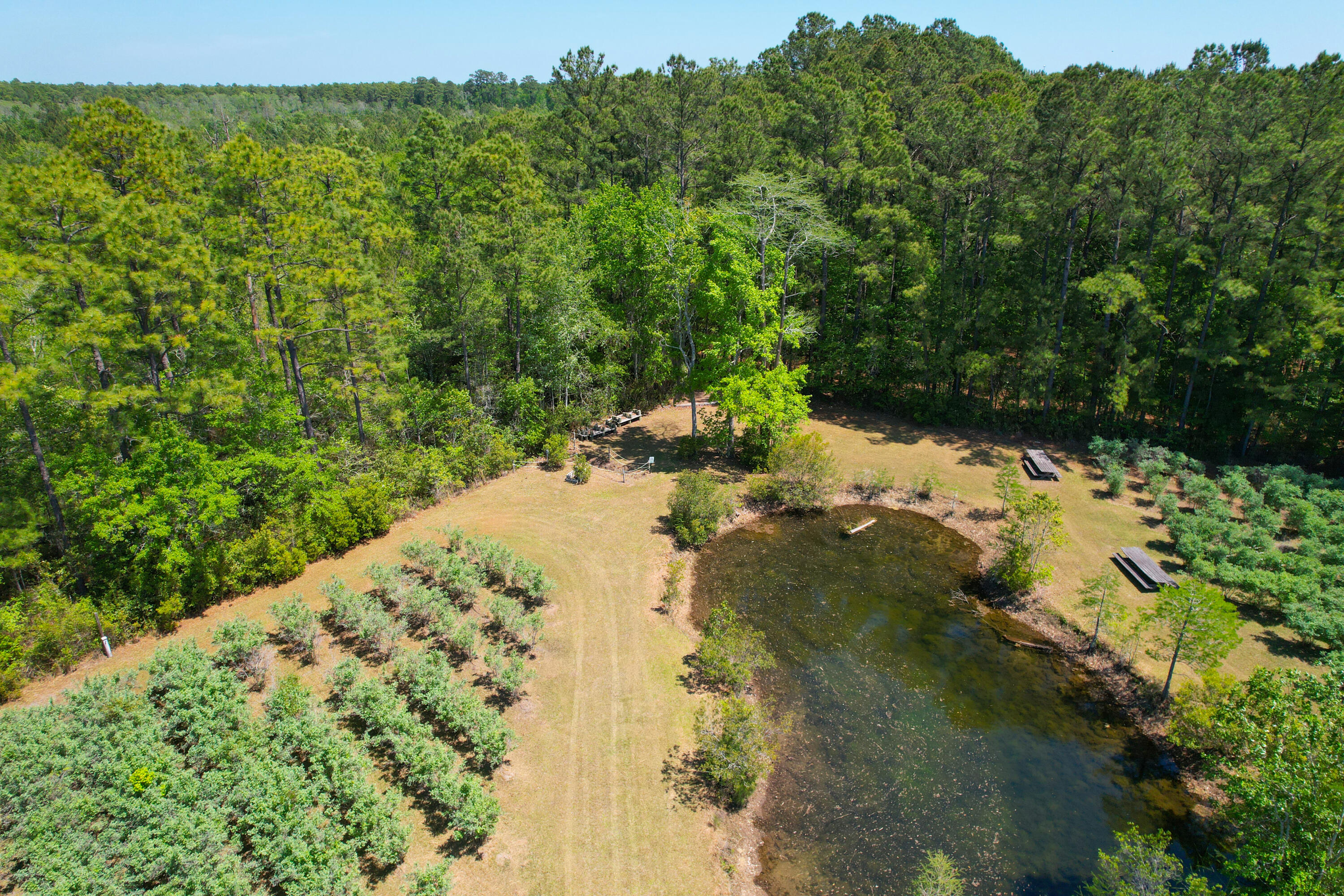 9760 State Rd S-10-1336 McClellanville, SC 29458 - Photo 21 of 98 Pond