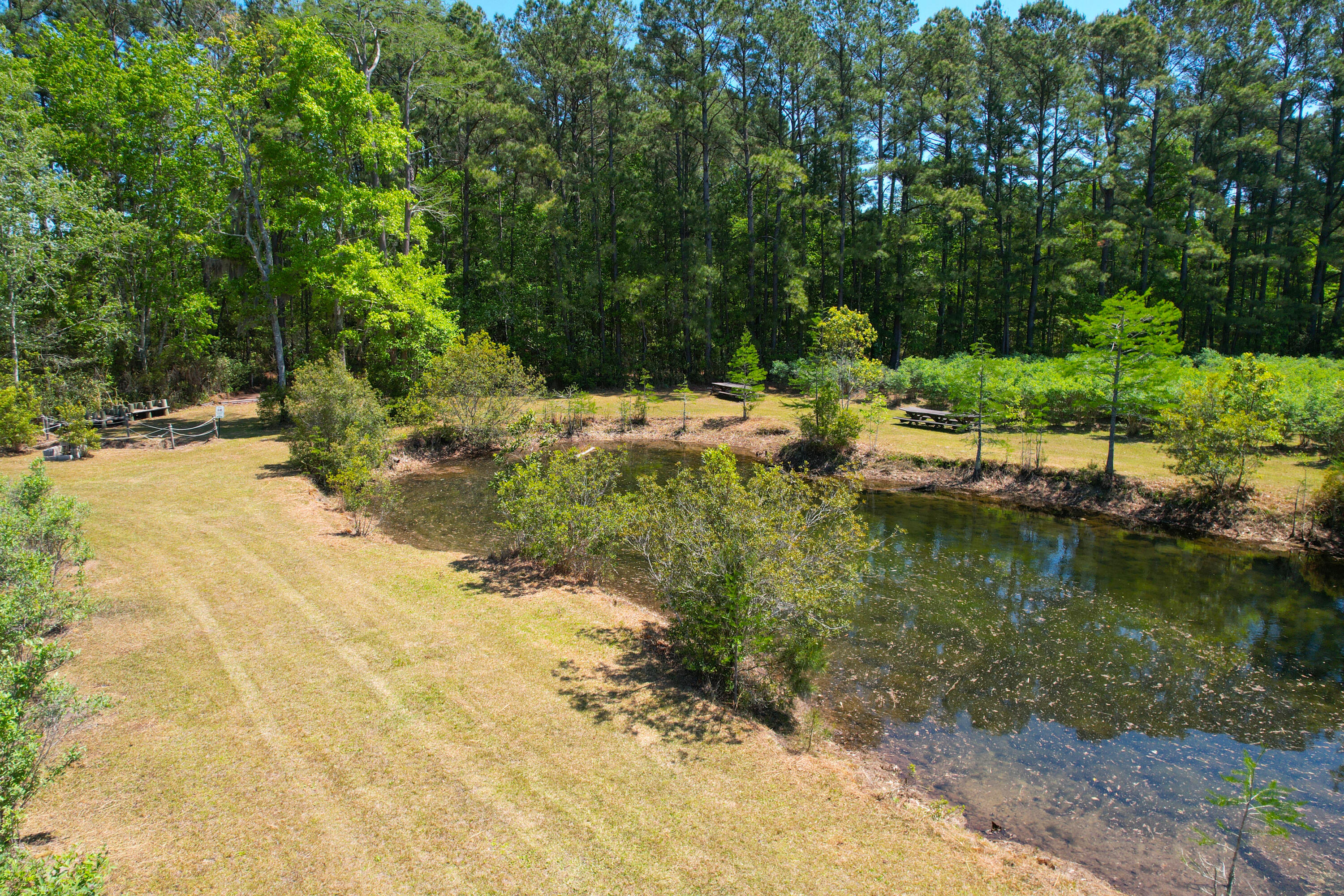 9760 State Rd S-10-1336 McClellanville, SC 29458 - Photo 22 of 98 Pond2