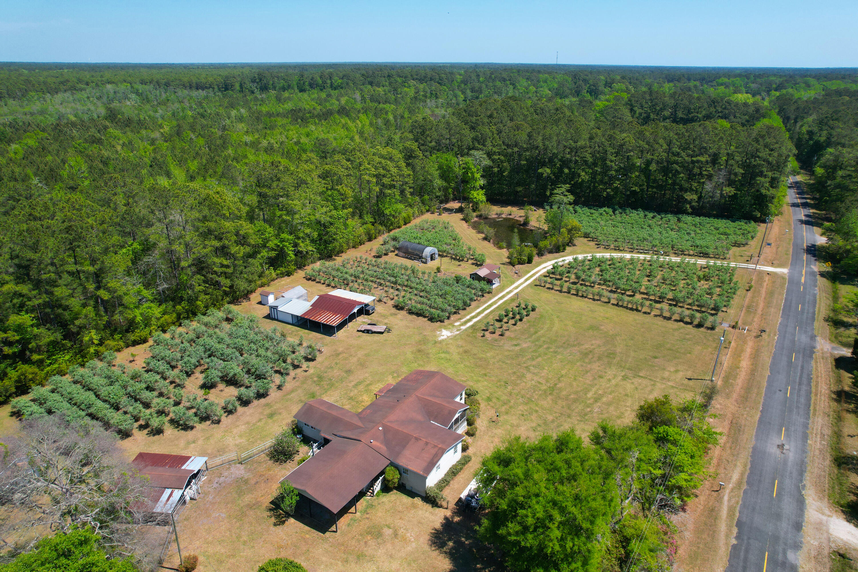 9760 State Rd S-10-1336 McClellanville, SC 29458 - Photo 3 of 98 Entire property8