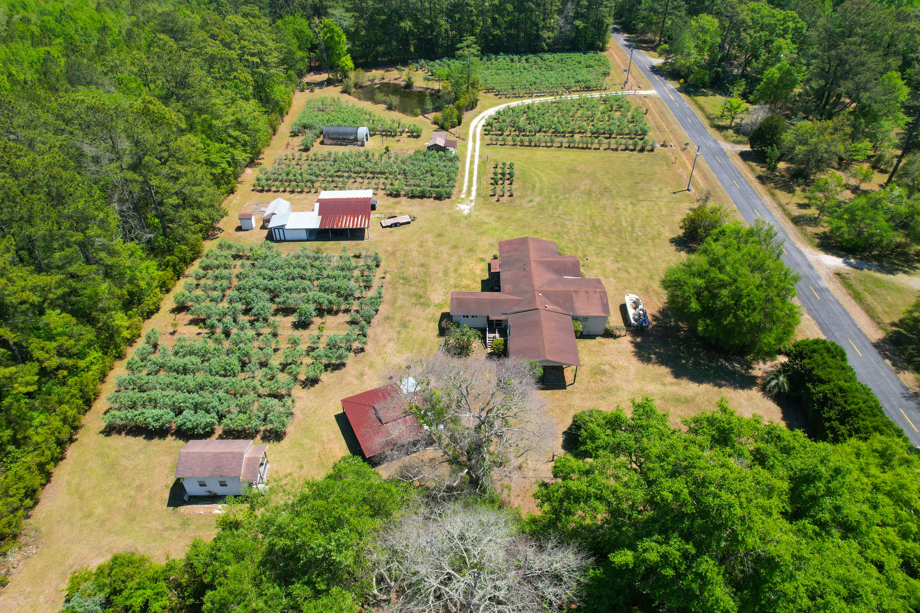 9760 State Rd S-10-1336 McClellanville, SC 29458 - Photo 4 of 98 Entire property-facing north3