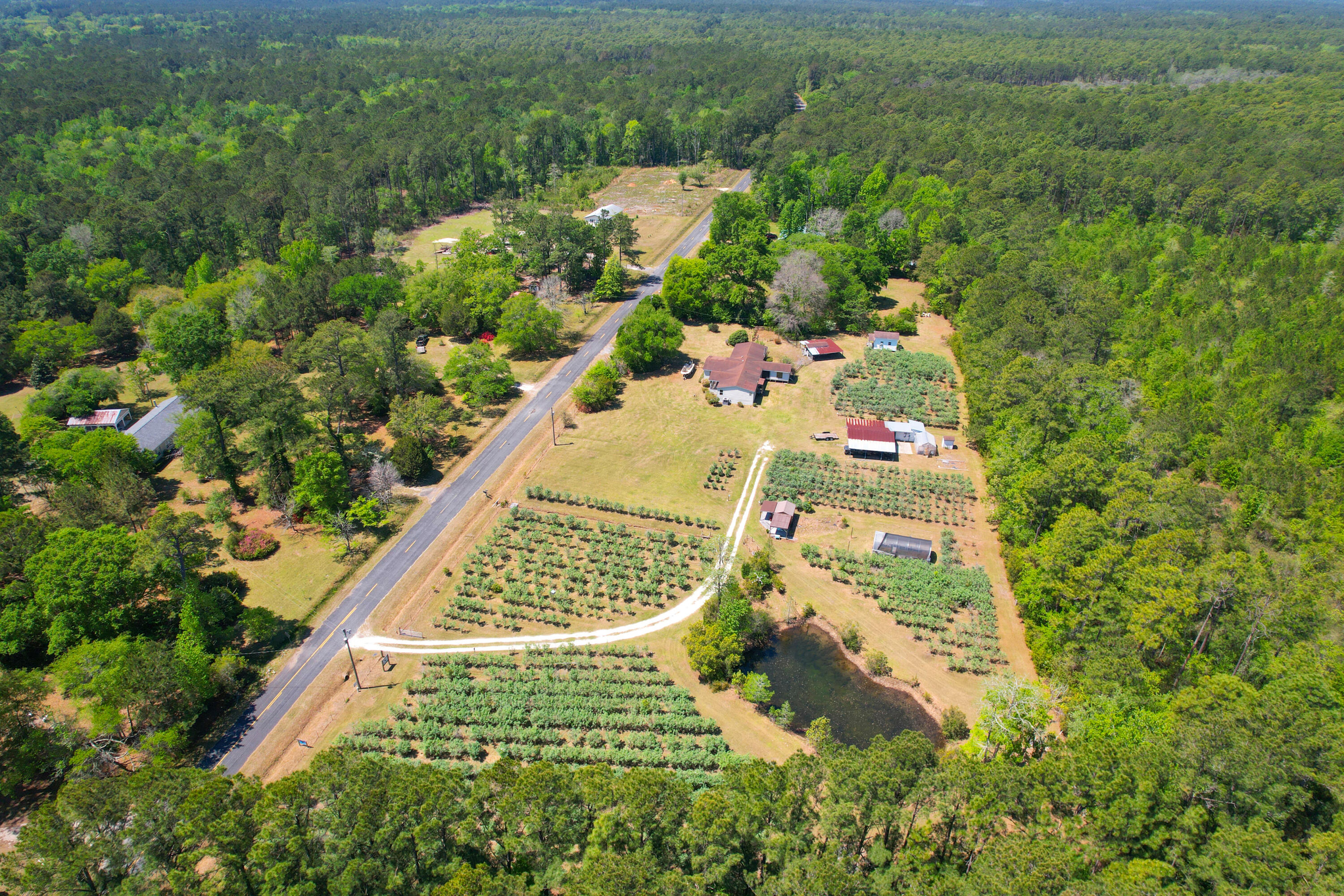 9760 State Rd S-10-1336 McClellanville, SC 29458 - Photo 5 of 98 Entire property-facing south2