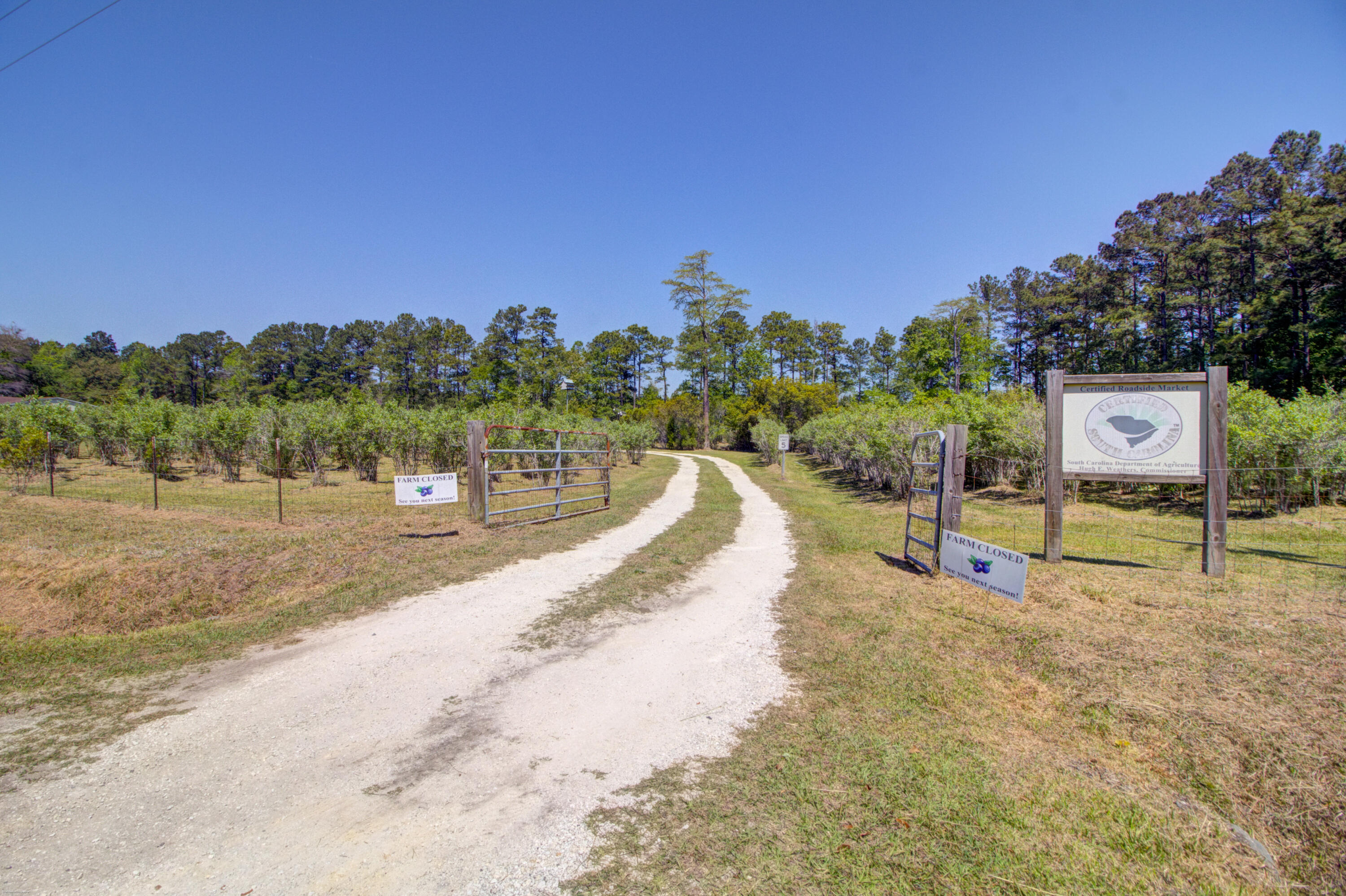 9760 State Rd S-10-1336 McClellanville, SC 29458 - Photo 52 of 98 Farm entrance