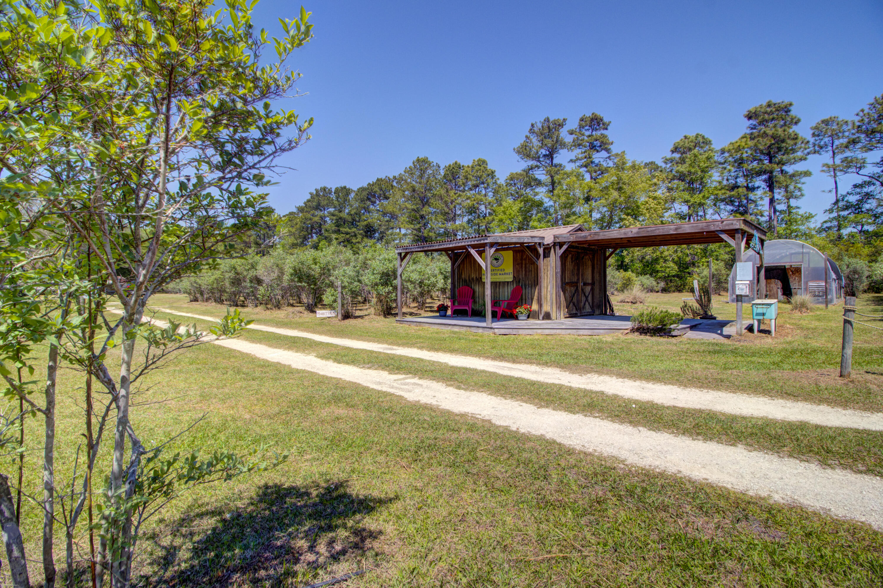 9760 State Rd S-10-1336 McClellanville, SC 29458 - Photo 56 of 98 Store front -greenhouse