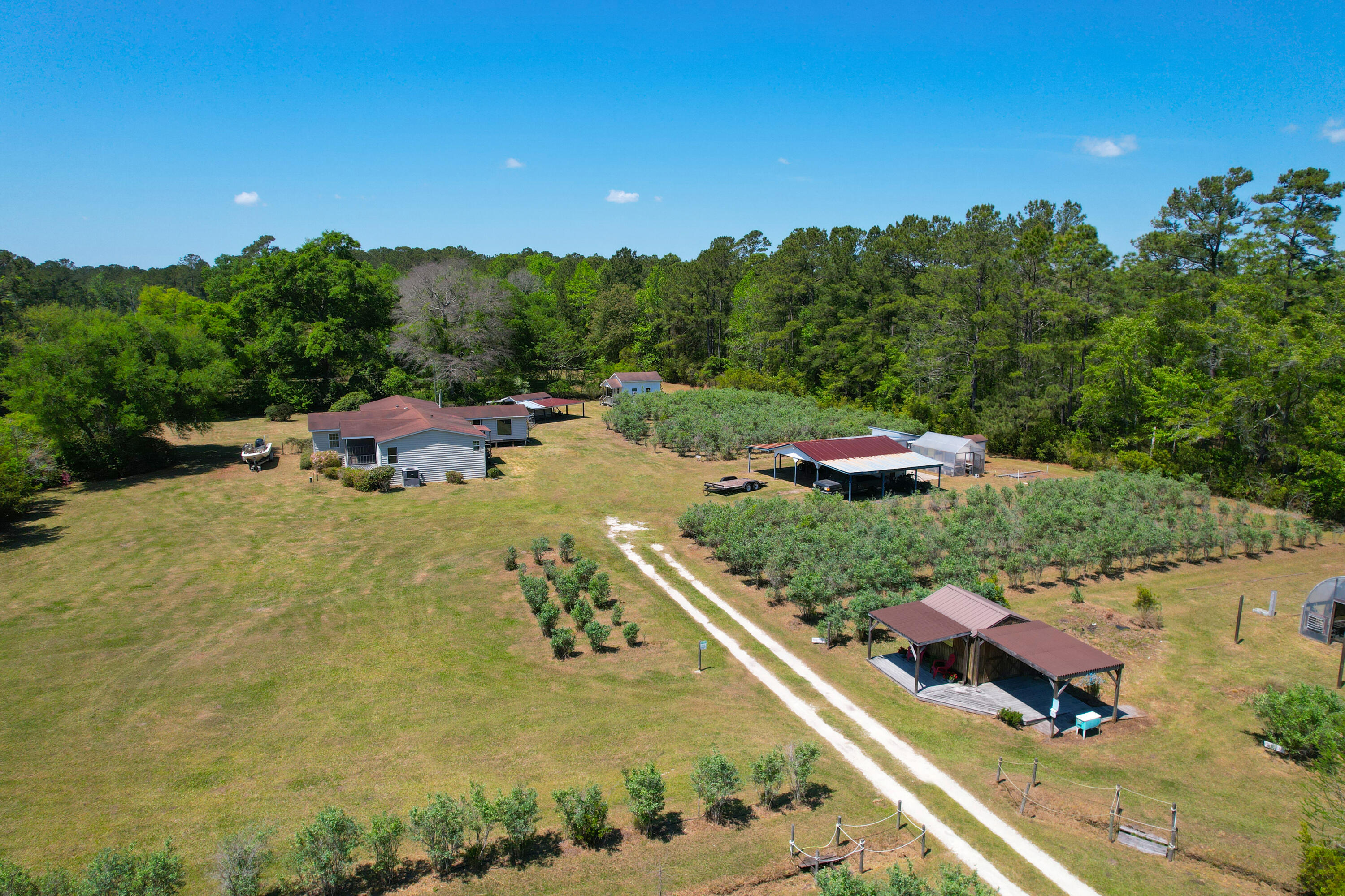9760 State Rd S-10-1336 McClellanville, SC 29458 - Photo 6 of 98 Residential parcel