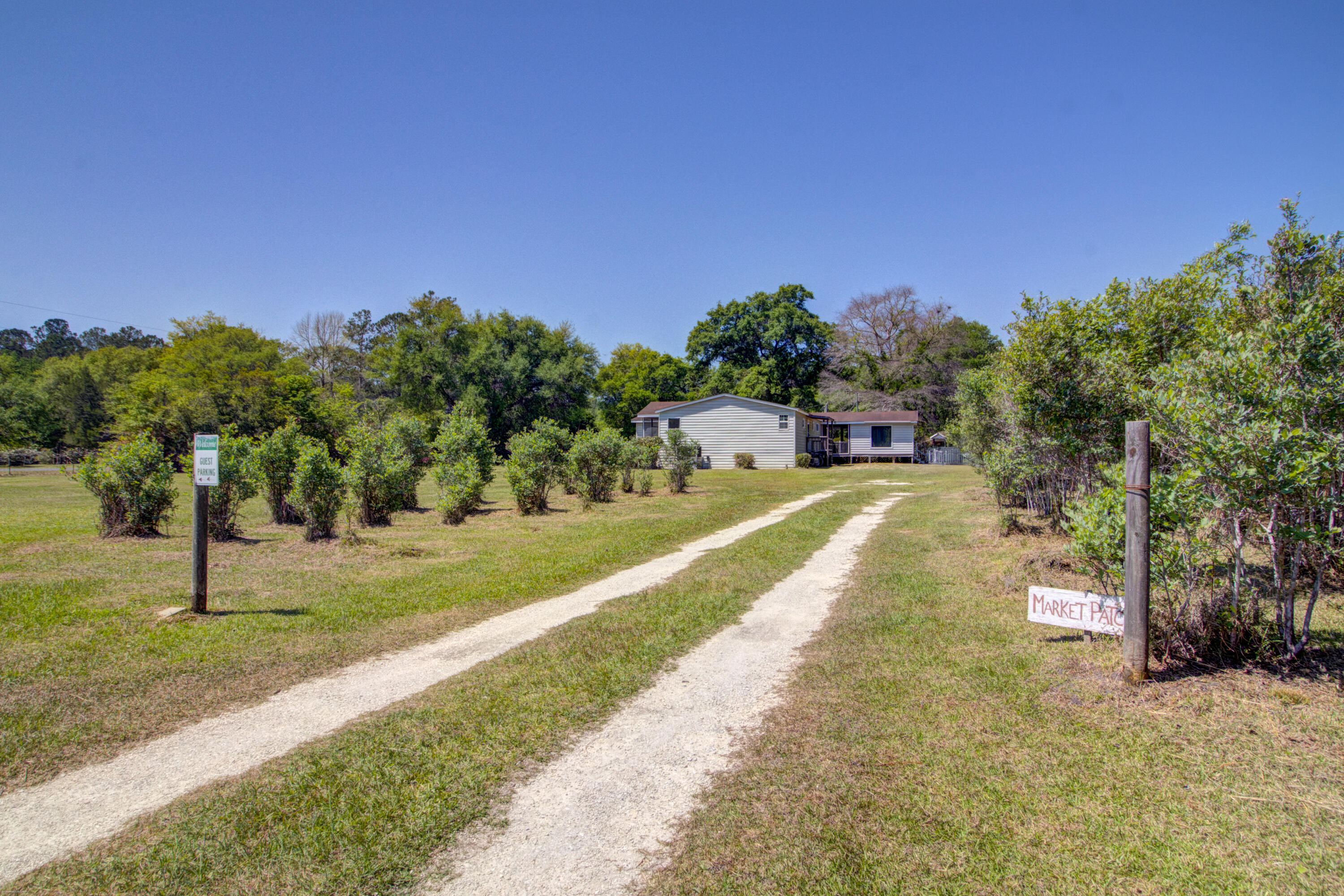 9760 State Rd S-10-1336 McClellanville, SC 29458 - Photo 61 of 98 Road to house