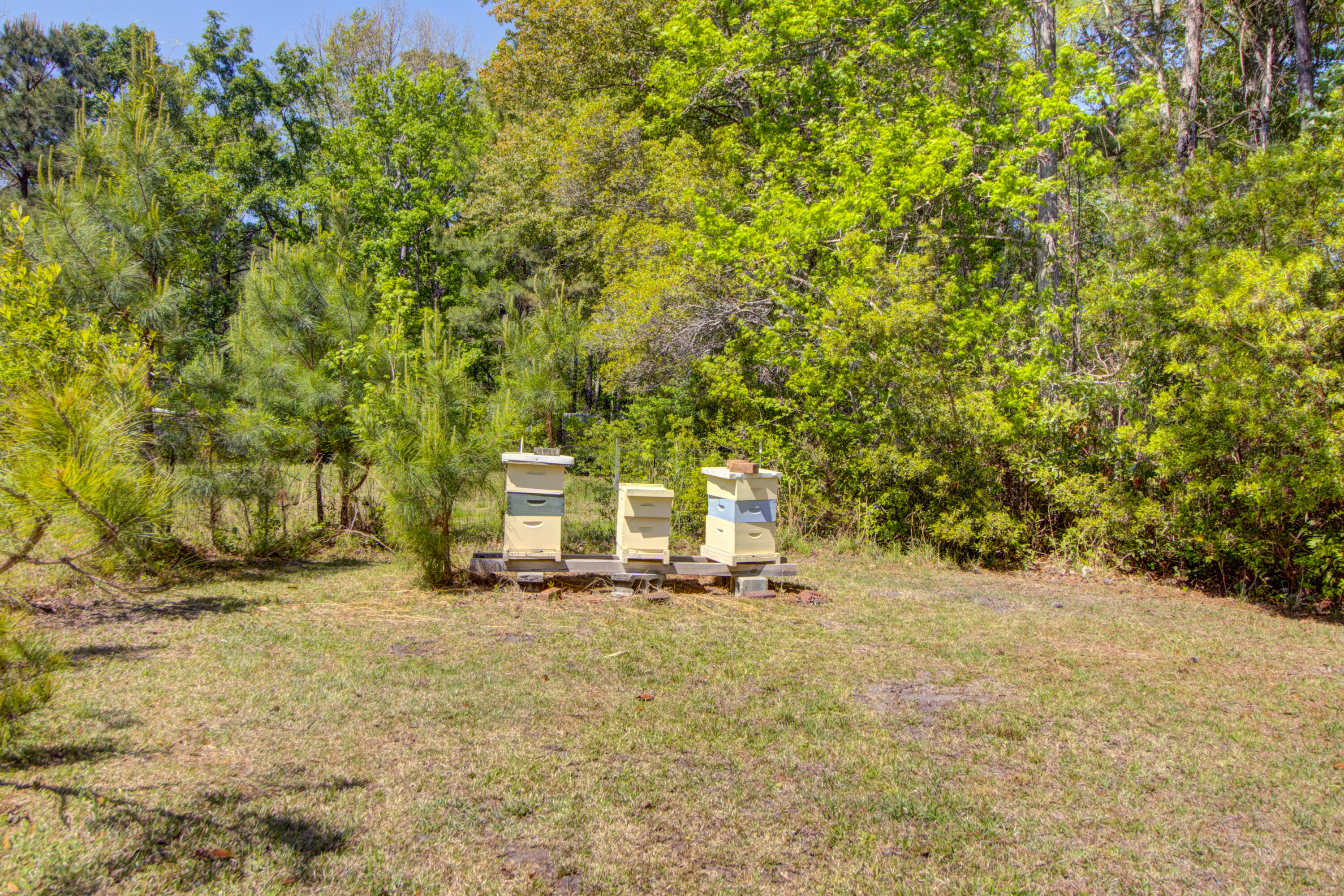 9760 State Rd S-10-1336 McClellanville, SC 29458 - Photo 82 of 98 Bee hive boxes