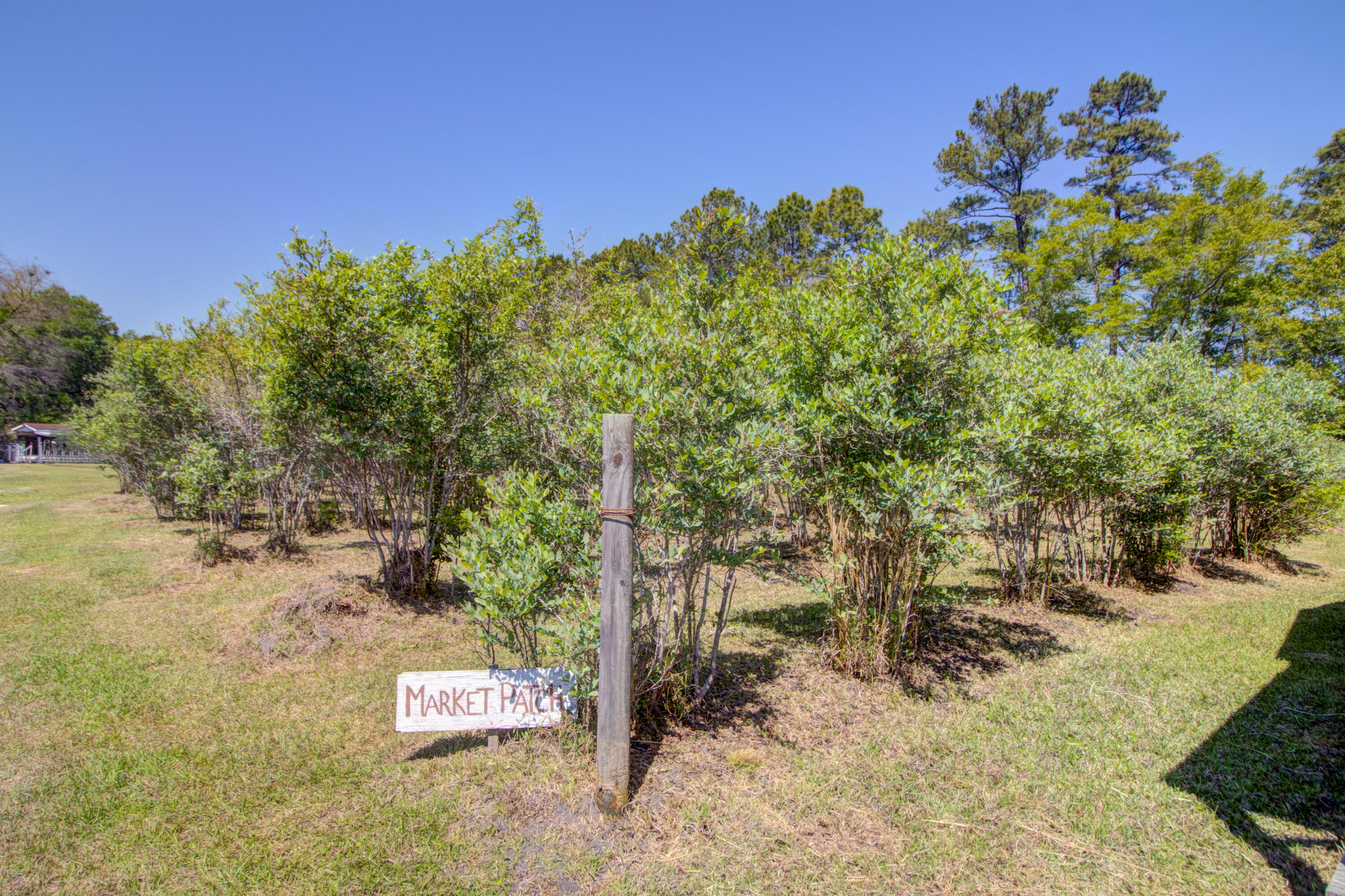 9760 State Rd S-10-1336 McClellanville, SC 29458 - Photo 84 of 98 Market patch