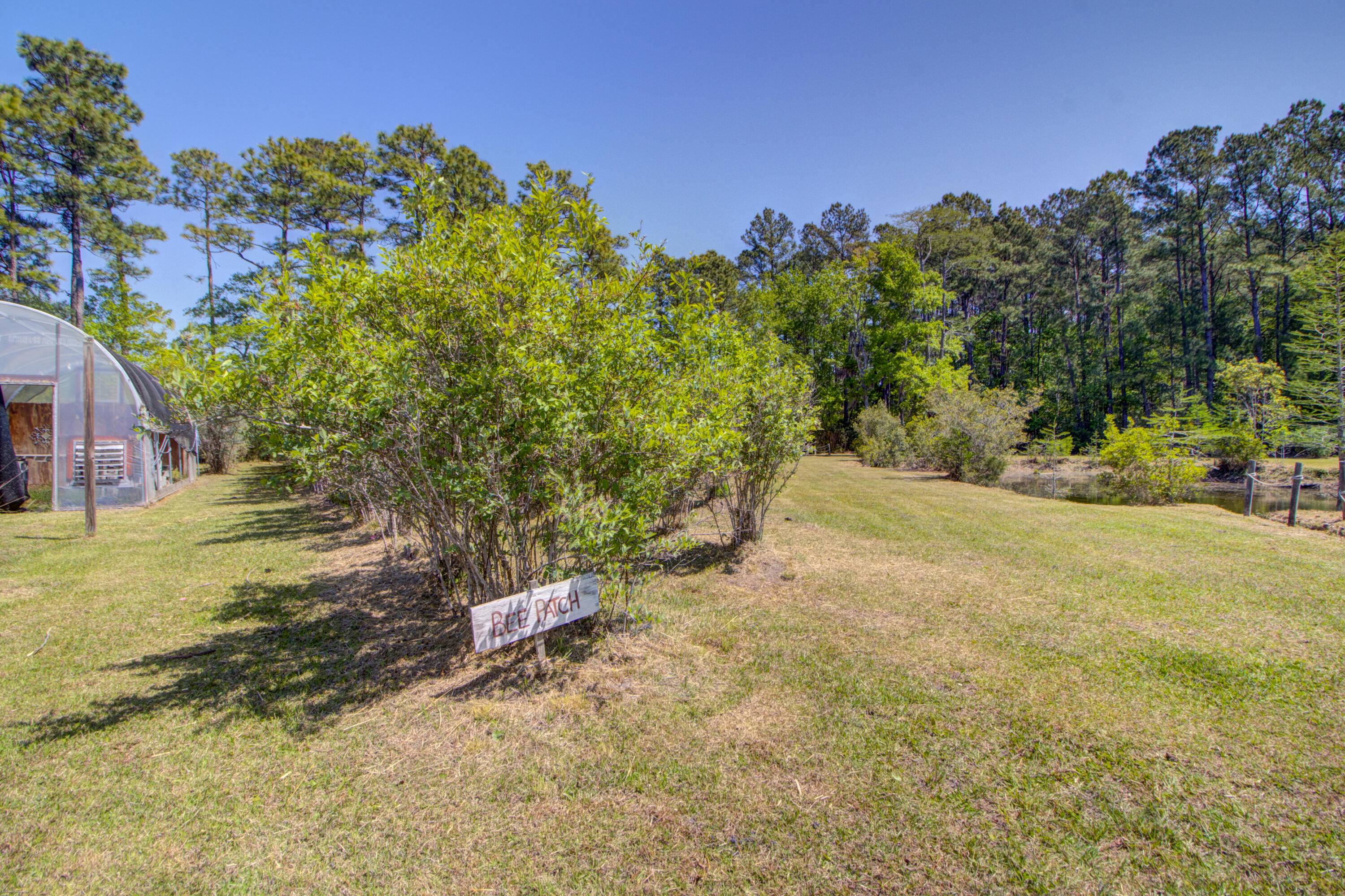 9760 State Rd S-10-1336 McClellanville, SC 29458 - Photo 87 of 98 Bee patch
