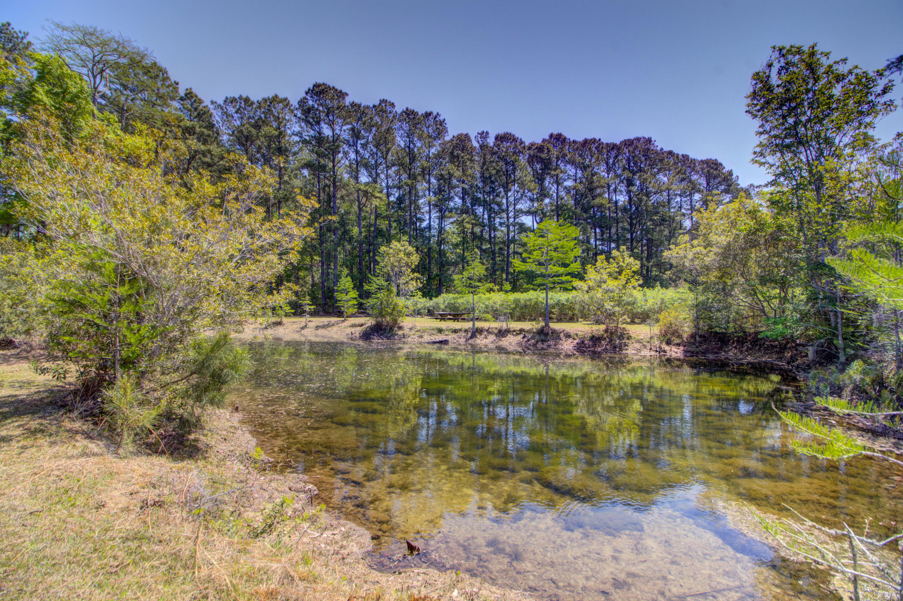 9760 State Rd S-10-1336 McClellanville, SC 29458 - Photo 90 of 98 Pond2