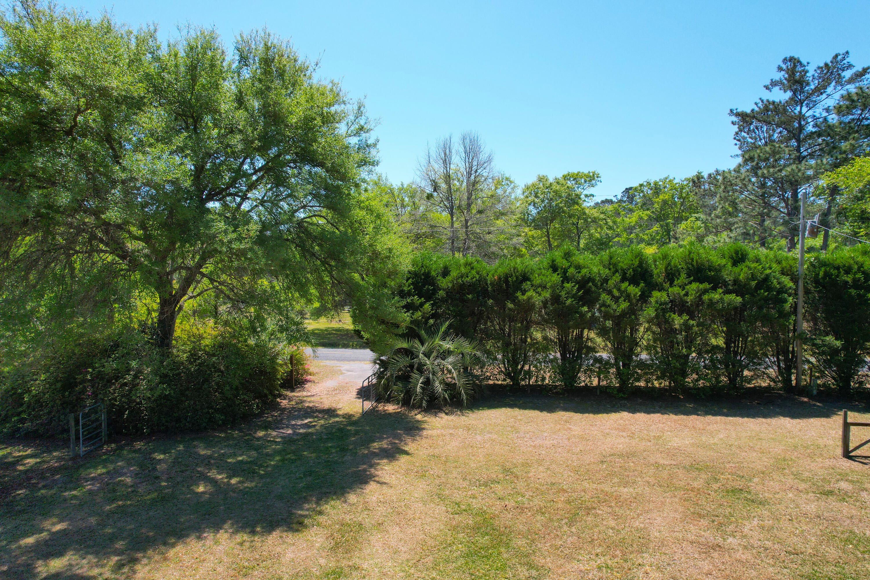 9760 State Rd S-10-1336 McClellanville, SC 29458 - Photo 9 of 98 Front yard