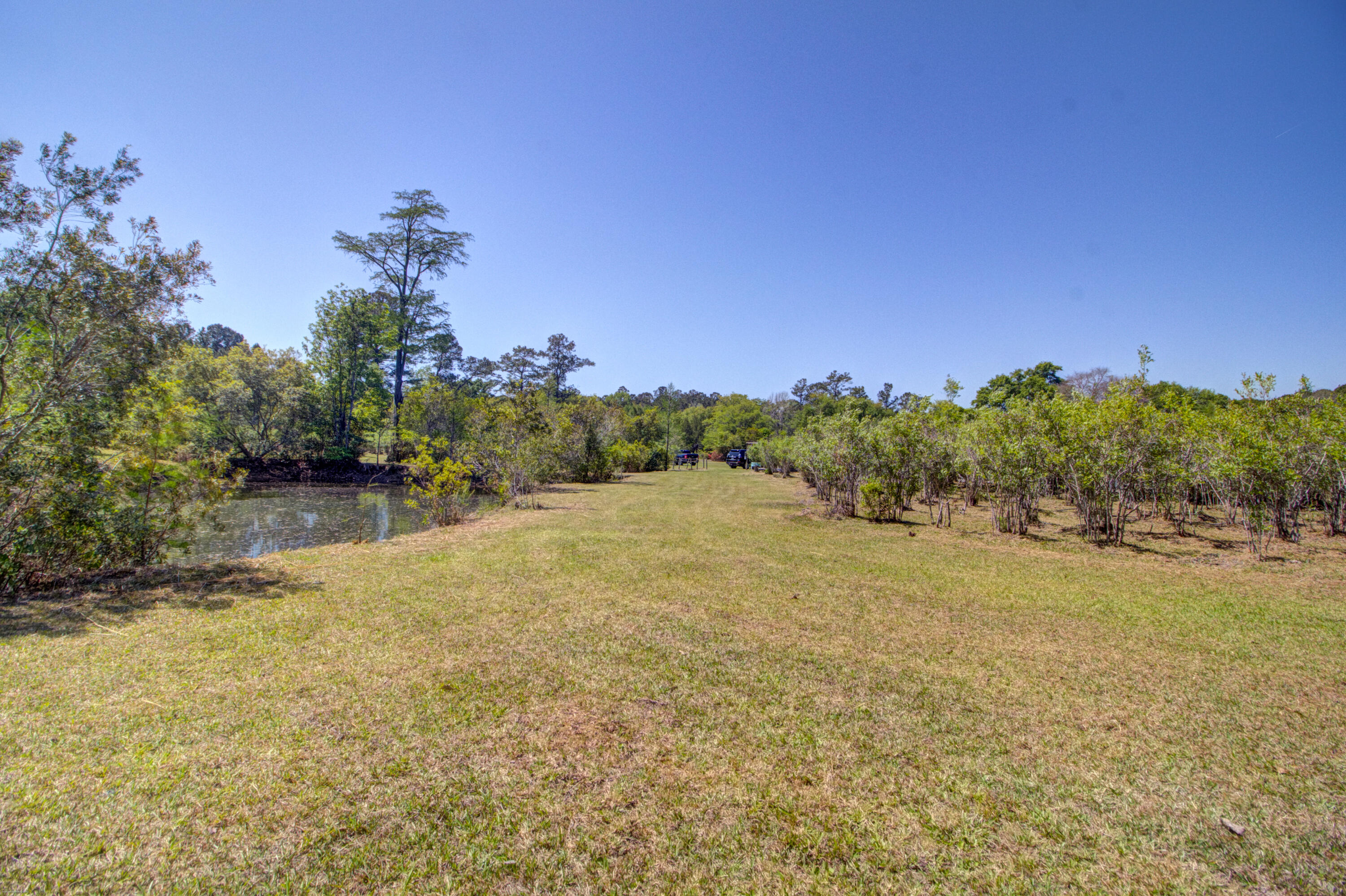 9760 State Rd S-10-1336 McClellanville, SC 29458 - Photo 91 of 98 Pond to road