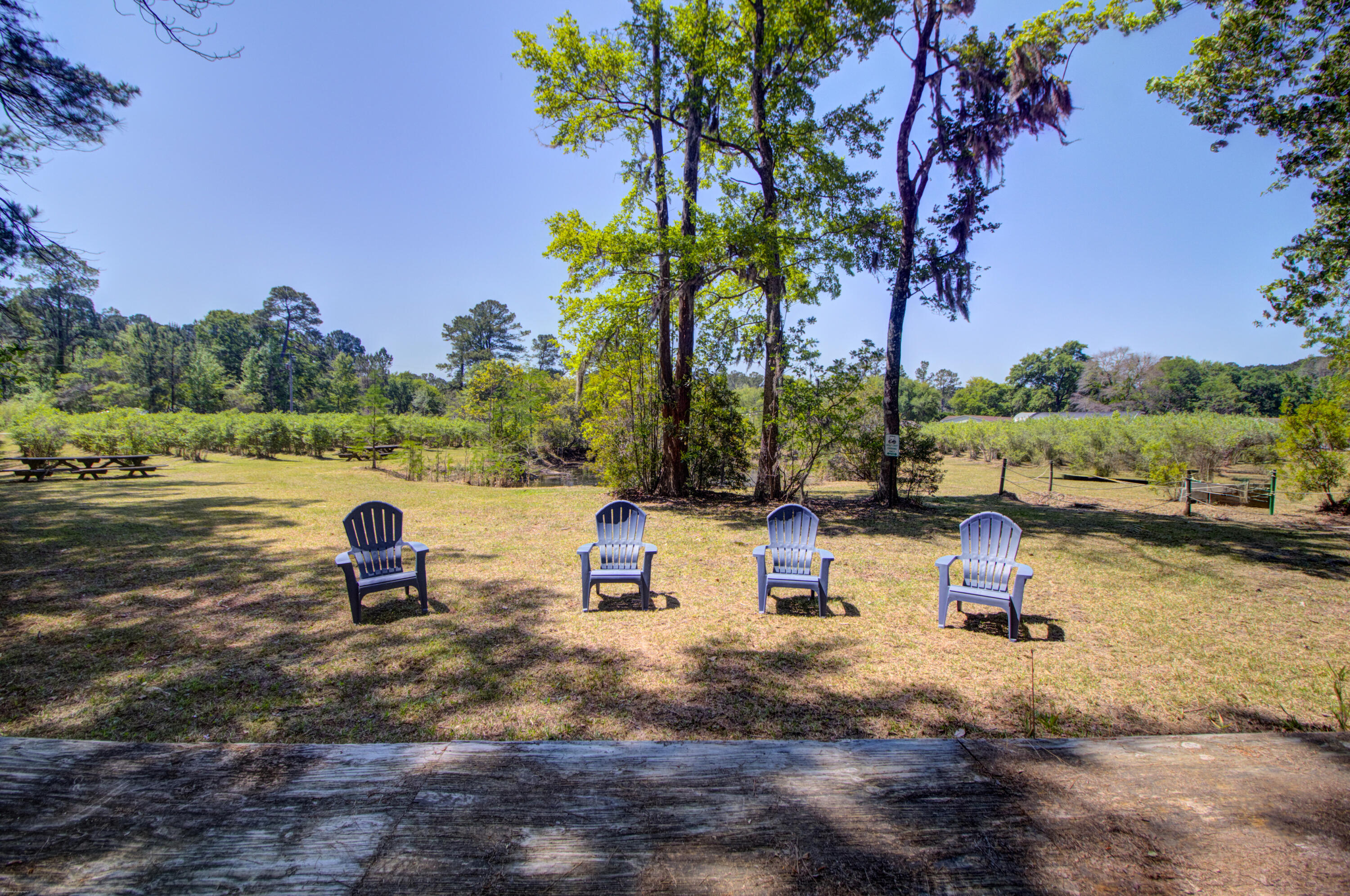 9760 State Rd S-10-1336 McClellanville, SC 29458 - Photo 94 of 98 Stage facing out