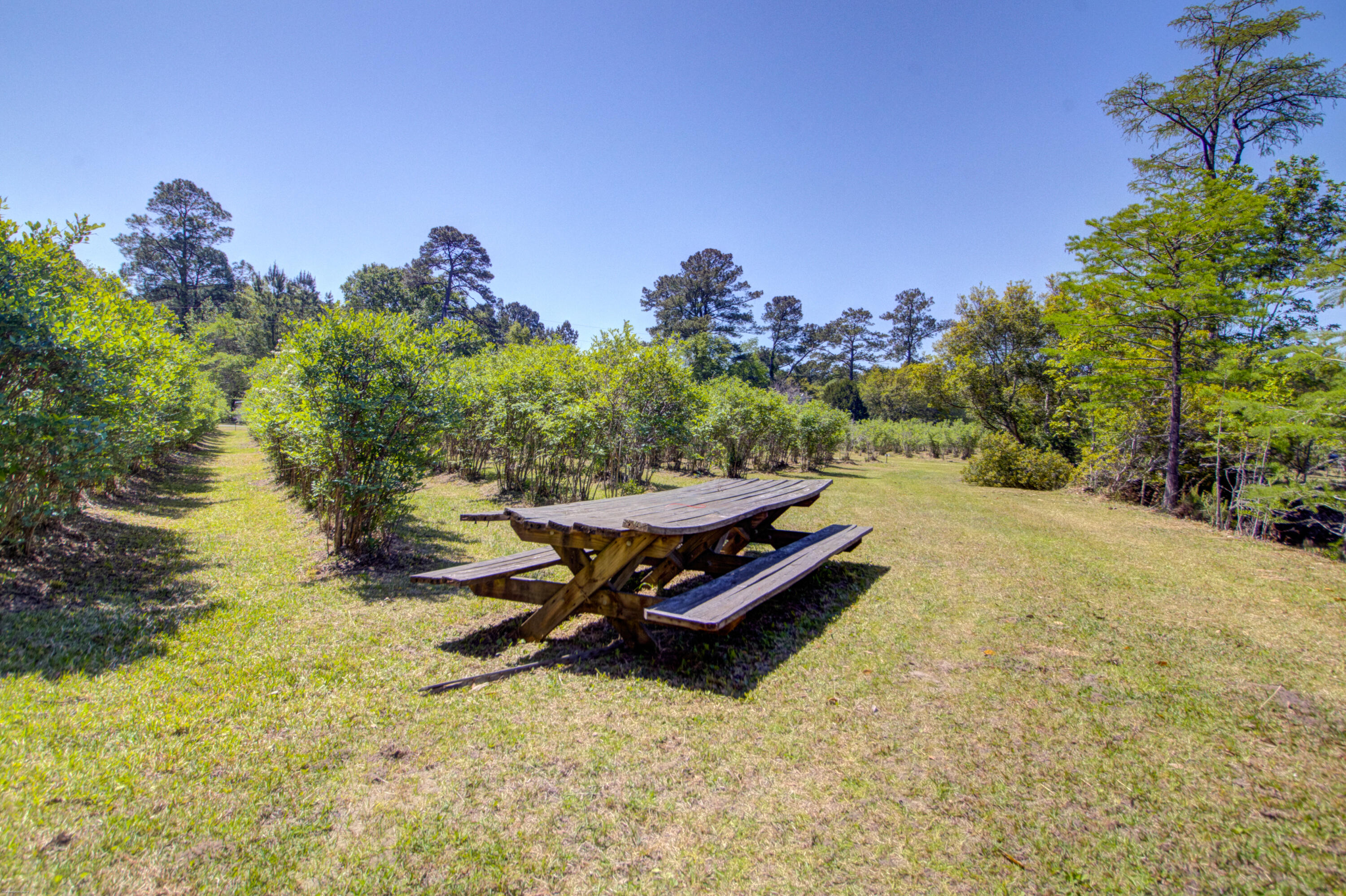 9760 State Rd S-10-1336 McClellanville, SC 29458 - Photo 96 of 98 Picnic table upclose
