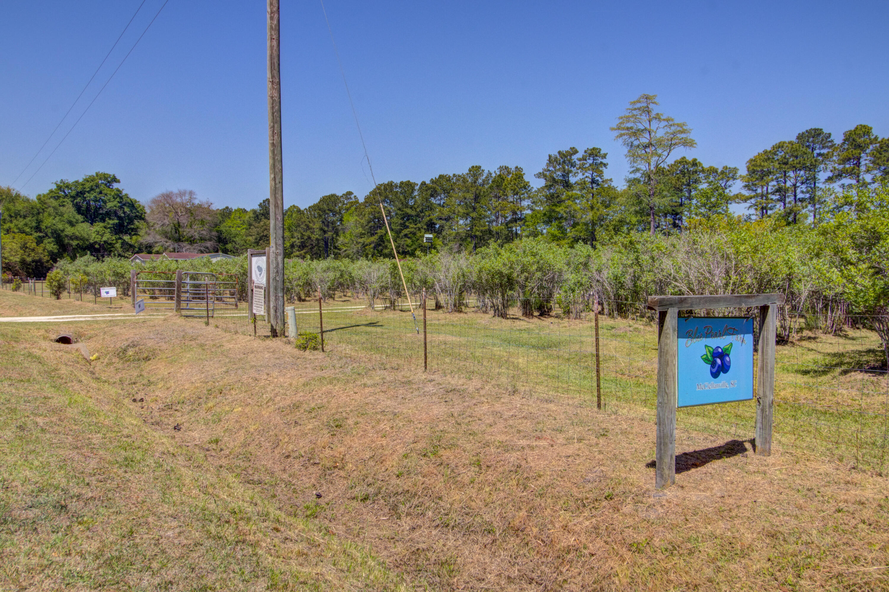 9760 State Rd S-10-1336 McClellanville, SC 29458 - Photo 98 of 98 BPF Sign