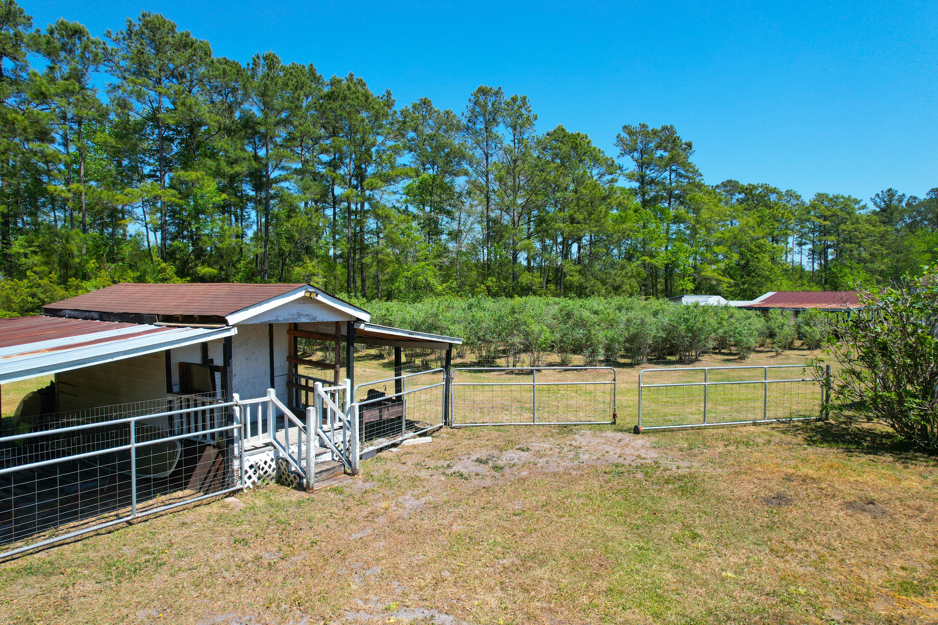 9760 State Rd S-10-1336 McClellanville, SC 29458 - Photo 10 of 98 Storage shed3