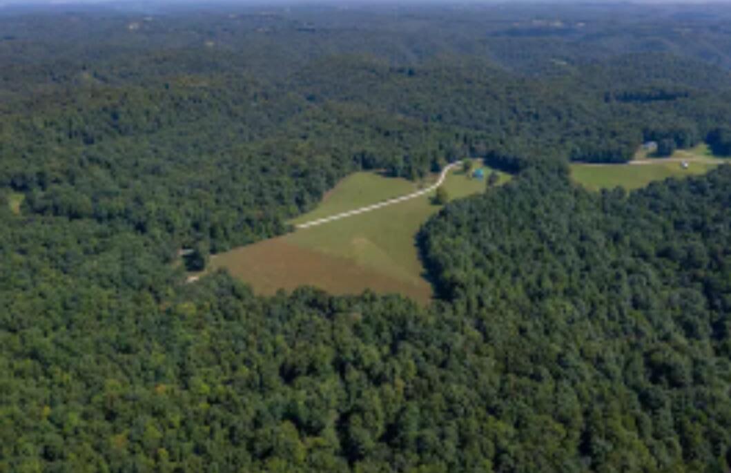 Tbd Boone Ridge Road Garrison, KY 41141 - Photo 8 of 10 9106