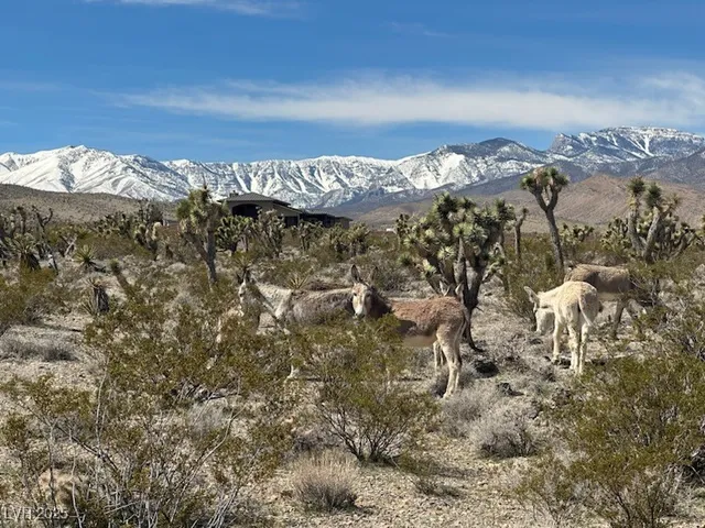 $1,290,000 | 7790 Scottie Street, Las Vegas, NV 89166