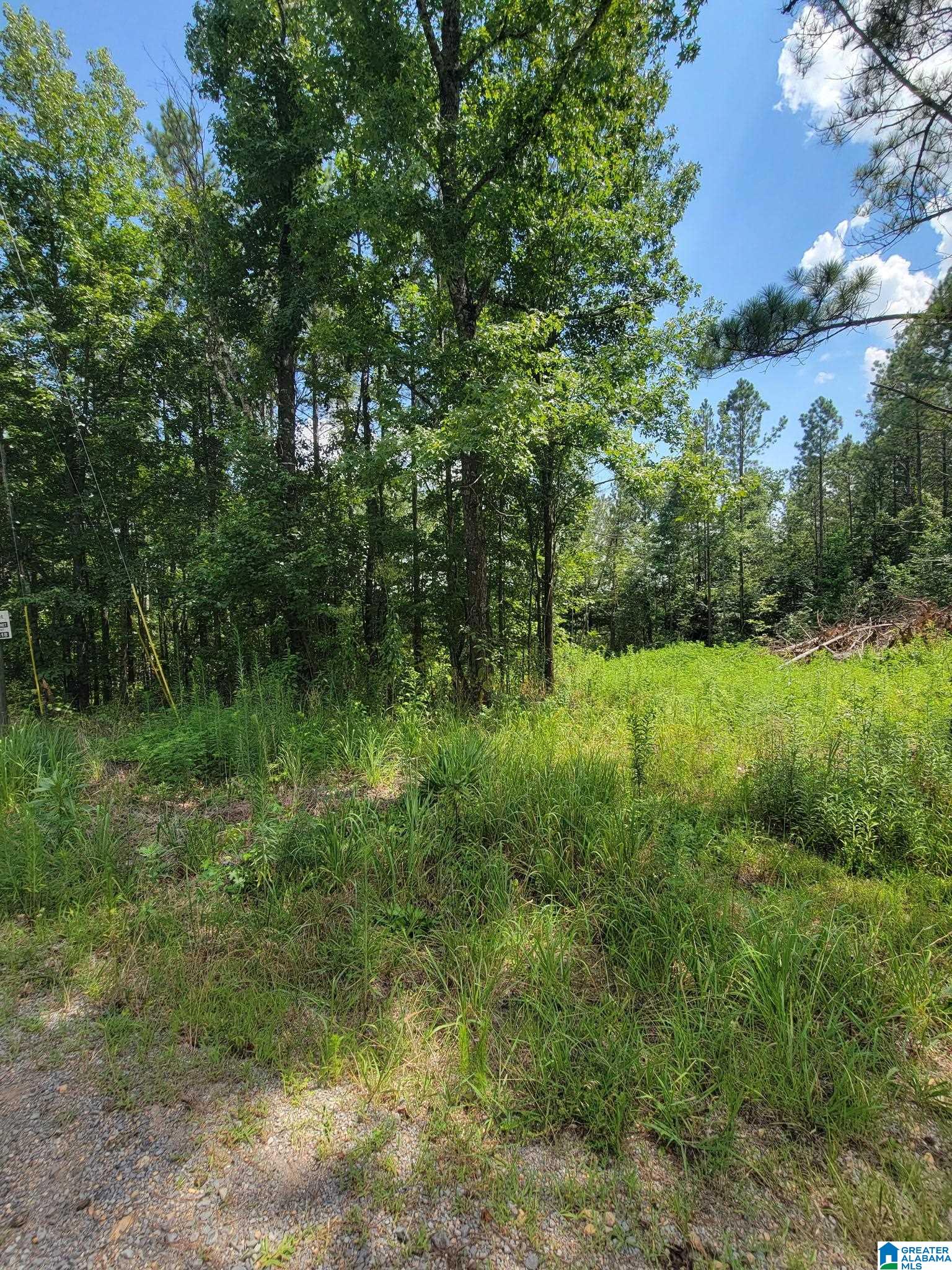 499 Sweet Apple Road Cropwell, AL 35054 - Photo 2 of 9