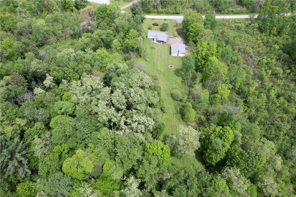 9133 South Watson Run Road Meadville, PA 16335 - Photo 44 of 45 a view of a house with a lush green forest