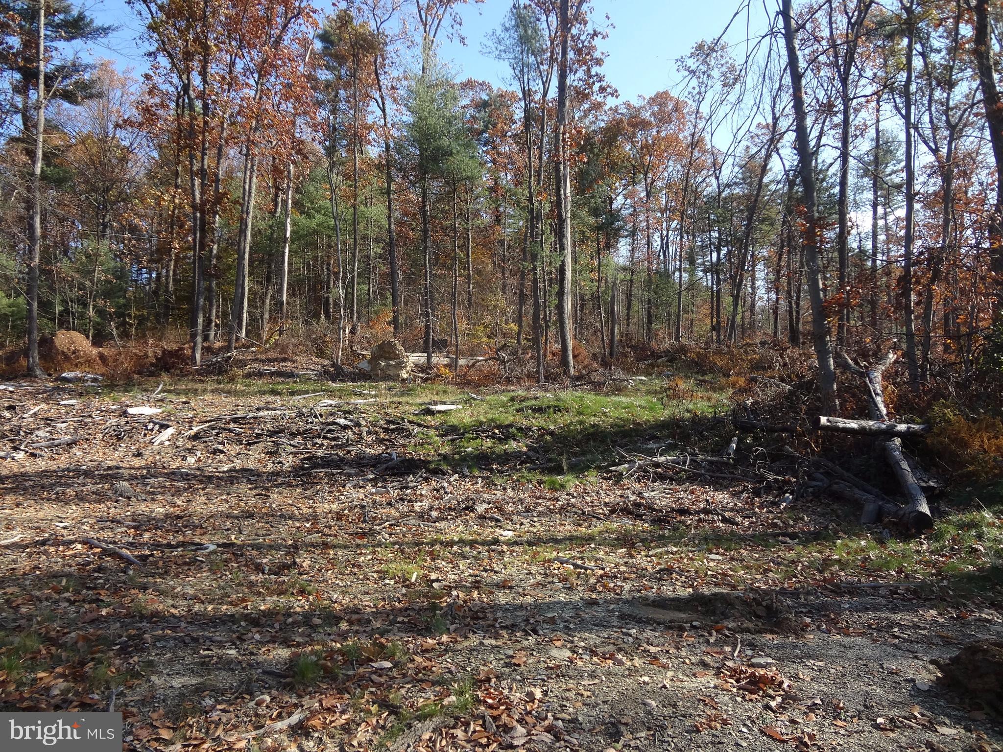 0 Pine Grove Furnace Road Aspers, PA 17304 - Photo 1 of 6 Gallery Image 1