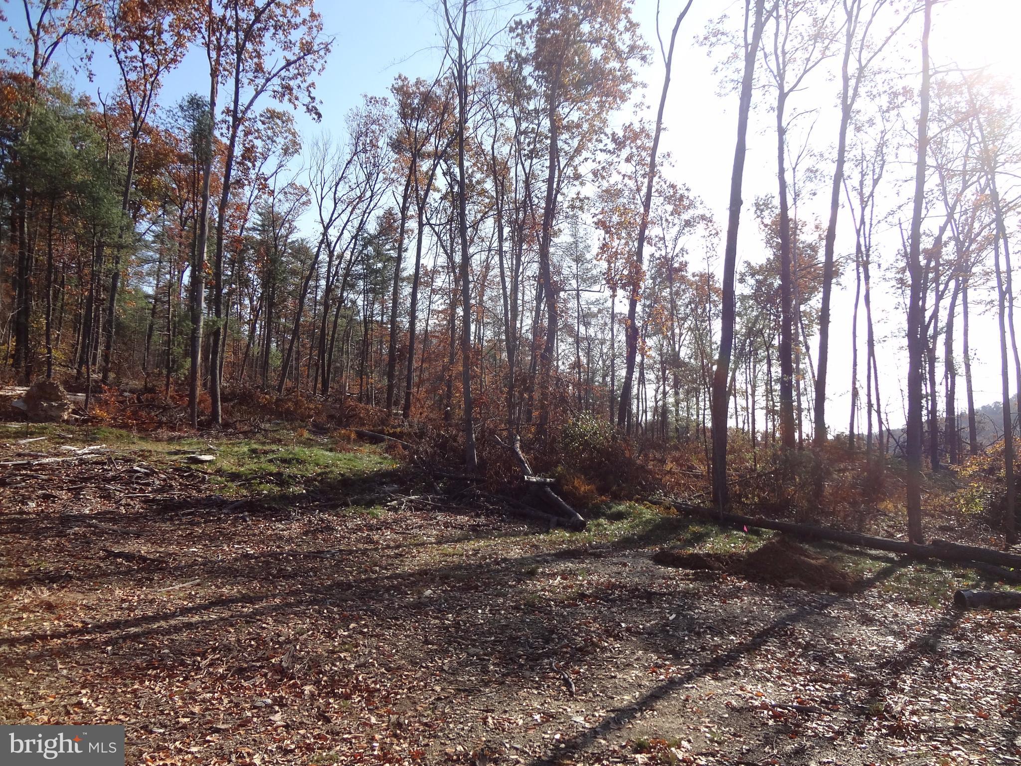 0 Pine Grove Furnace Road Aspers, PA 17304 - Photo 2 of 6 Gallery Image 2