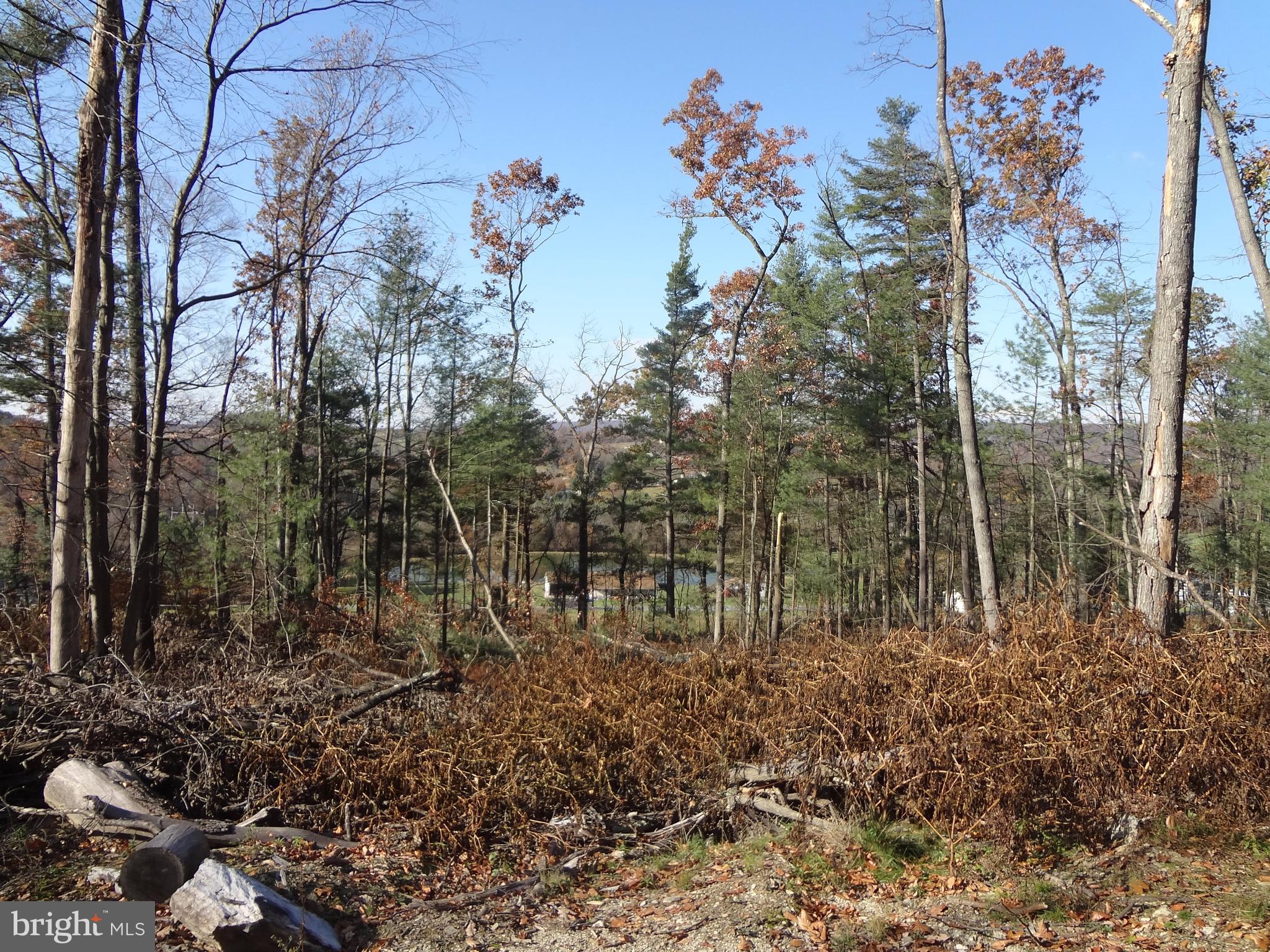0 Pine Grove Furnace Road Aspers, PA 17304 - Photo 3 of 6 Gallery Image 3