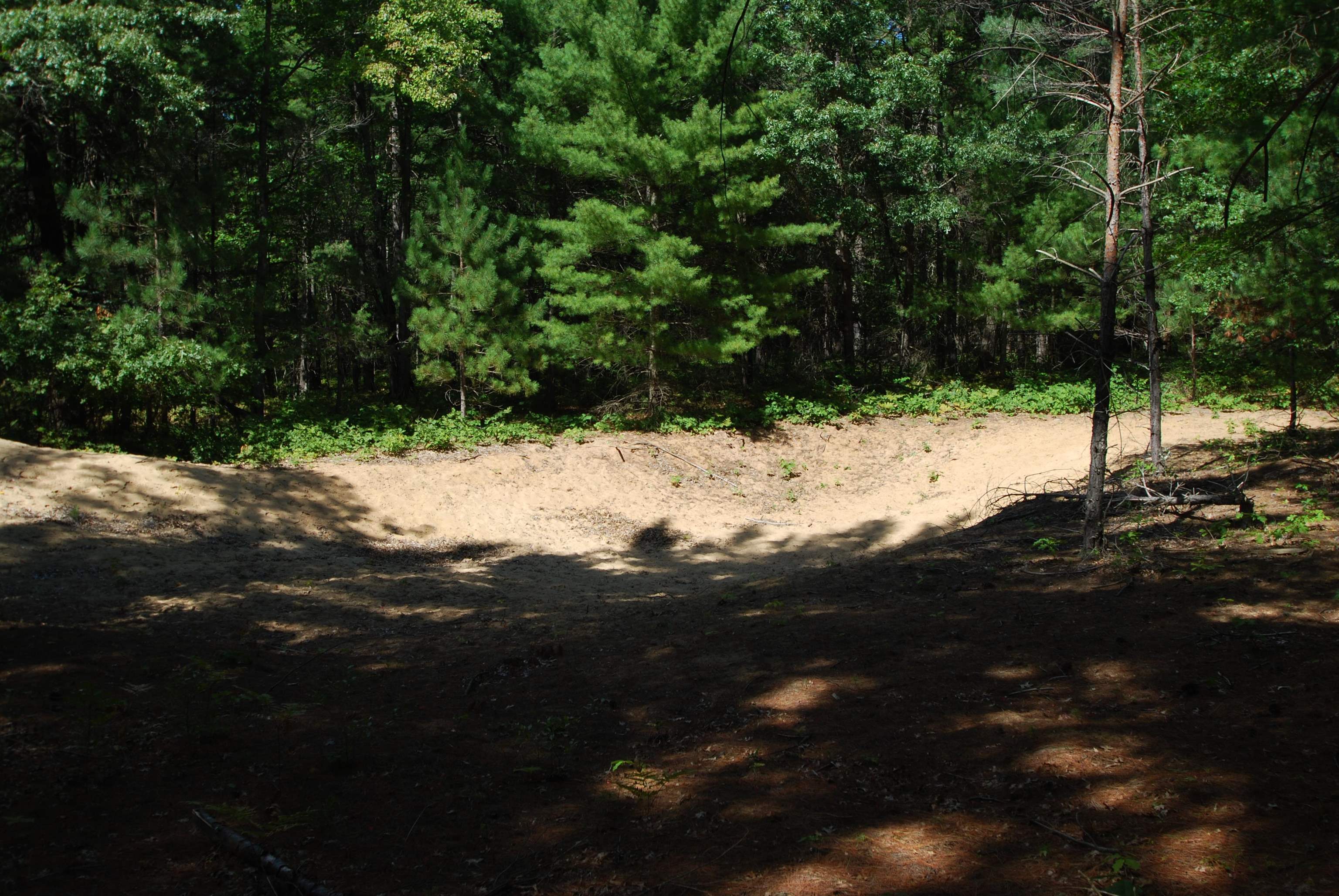 2782 River Ridge Road Alger, MI 48610 - Photo 48 of 81 1938222-c479efbb-d74b-4fa4-8f8d-dd3b276a40c1.JPG