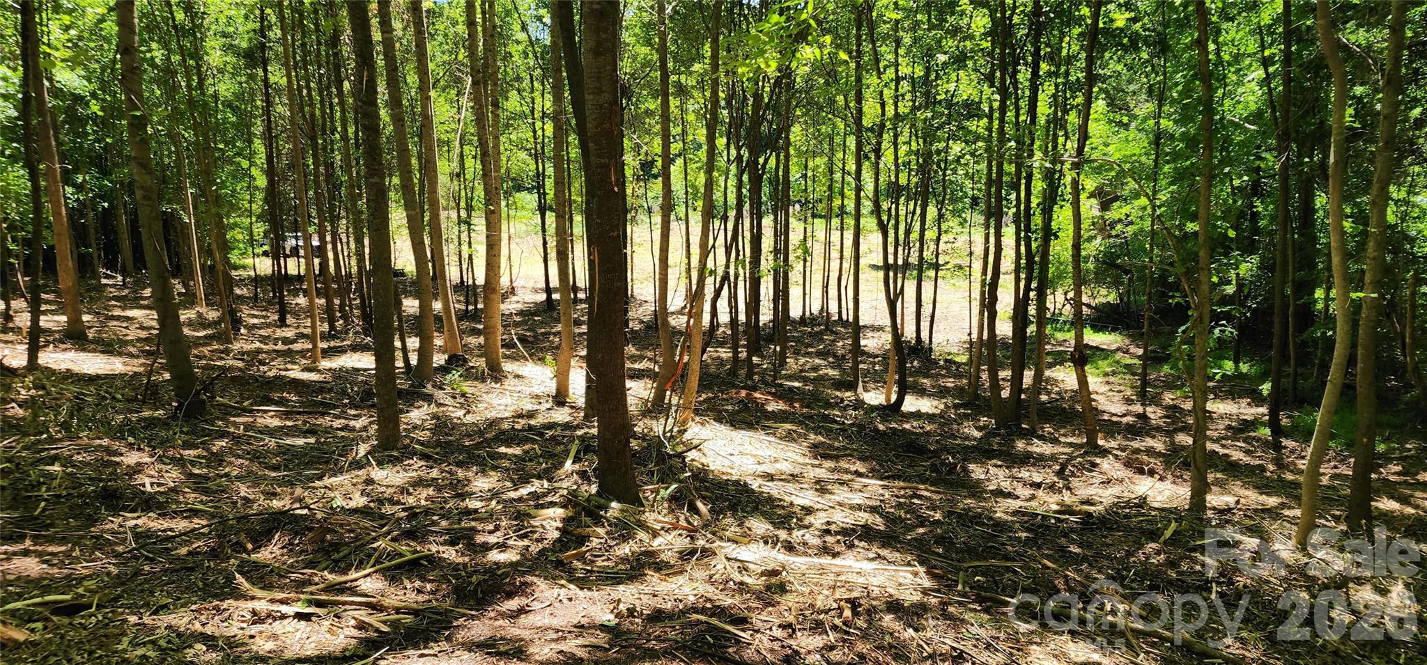 480 Brown Road Spartanburg, SC 29302 - Photo 24 of 47