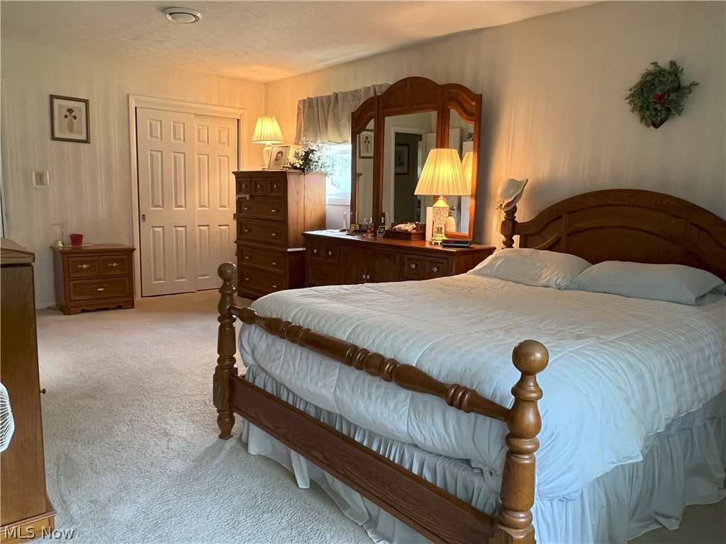 7325 Euclid Chardon Road Willoughby, OH 44094 - Photo 10 of 24 Bedroom with light carpet and a closet