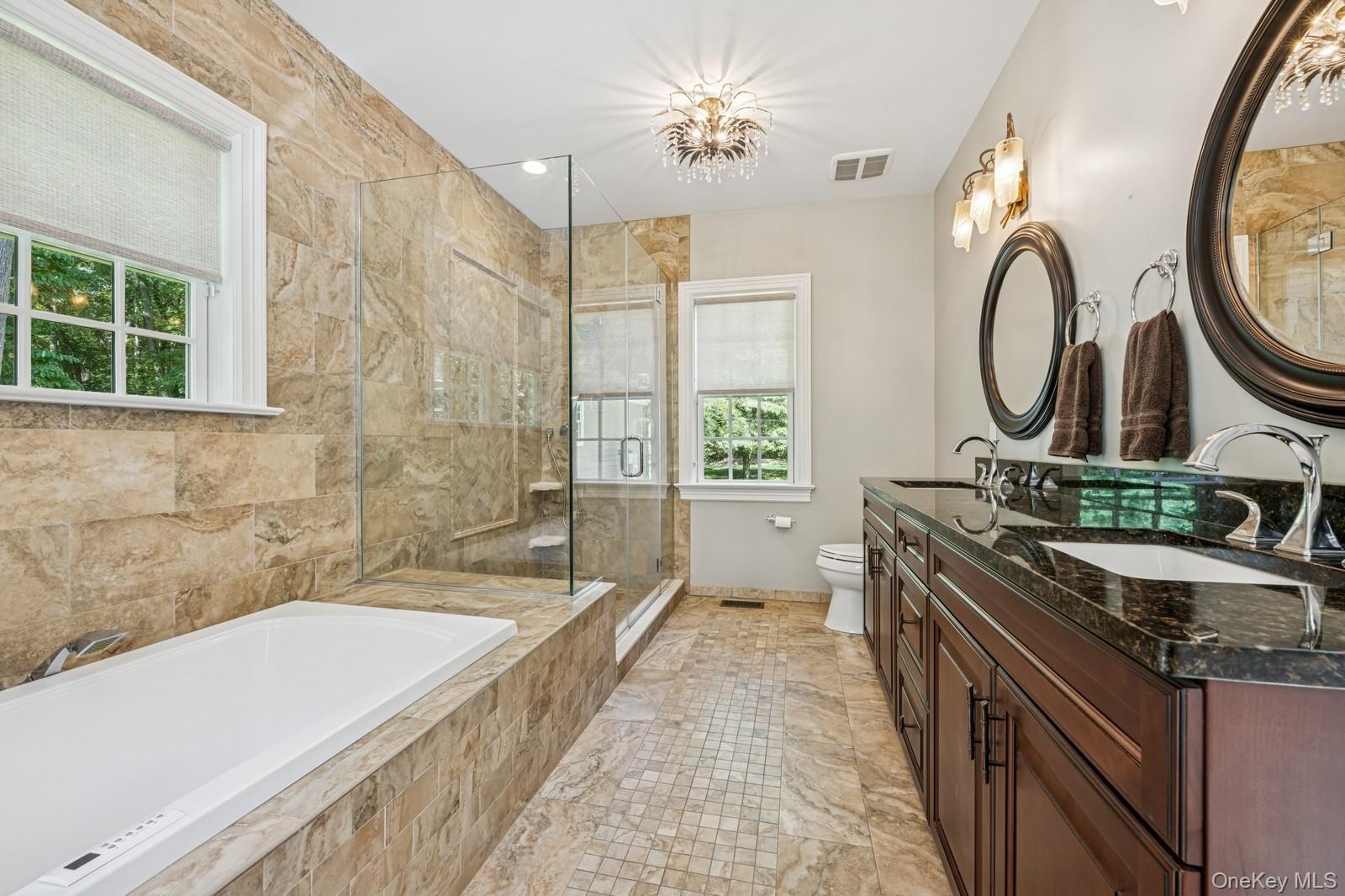 33 Bacon Road St. James, NY 11780 - Photo 22 of 48 a bathroom with a granite countertop sink a toilet a mirror and a tub