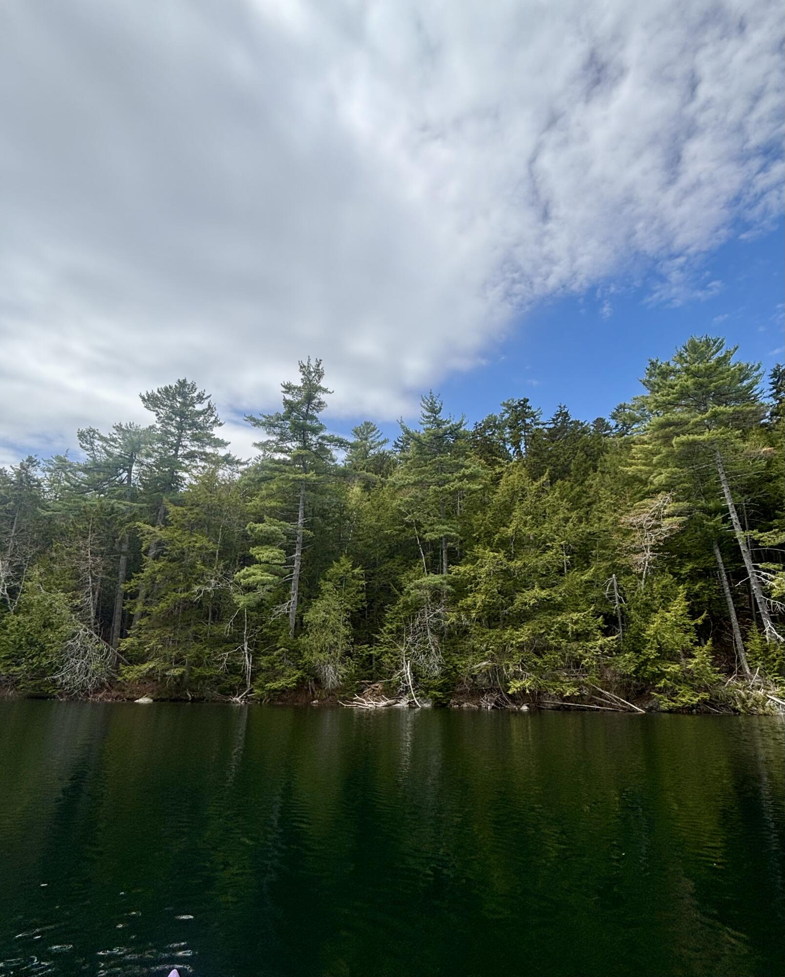 0 Hartview Circle Orland, ME 04472 - Photo 2 of 4 IMG_7707