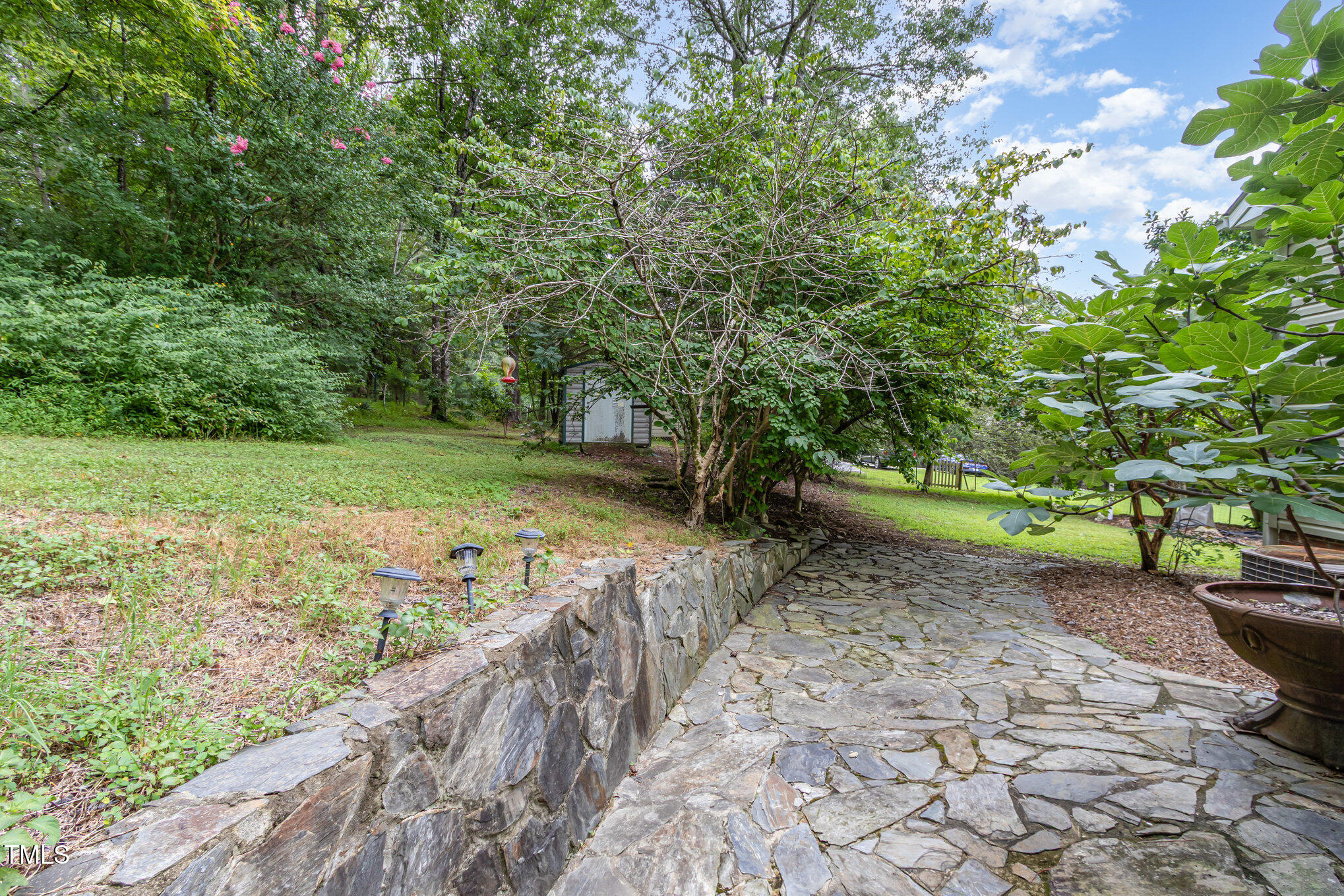 824 Kittrell Road Kittrell, NC 27544 - Photo 34 of 37 a view of a yard with an trees